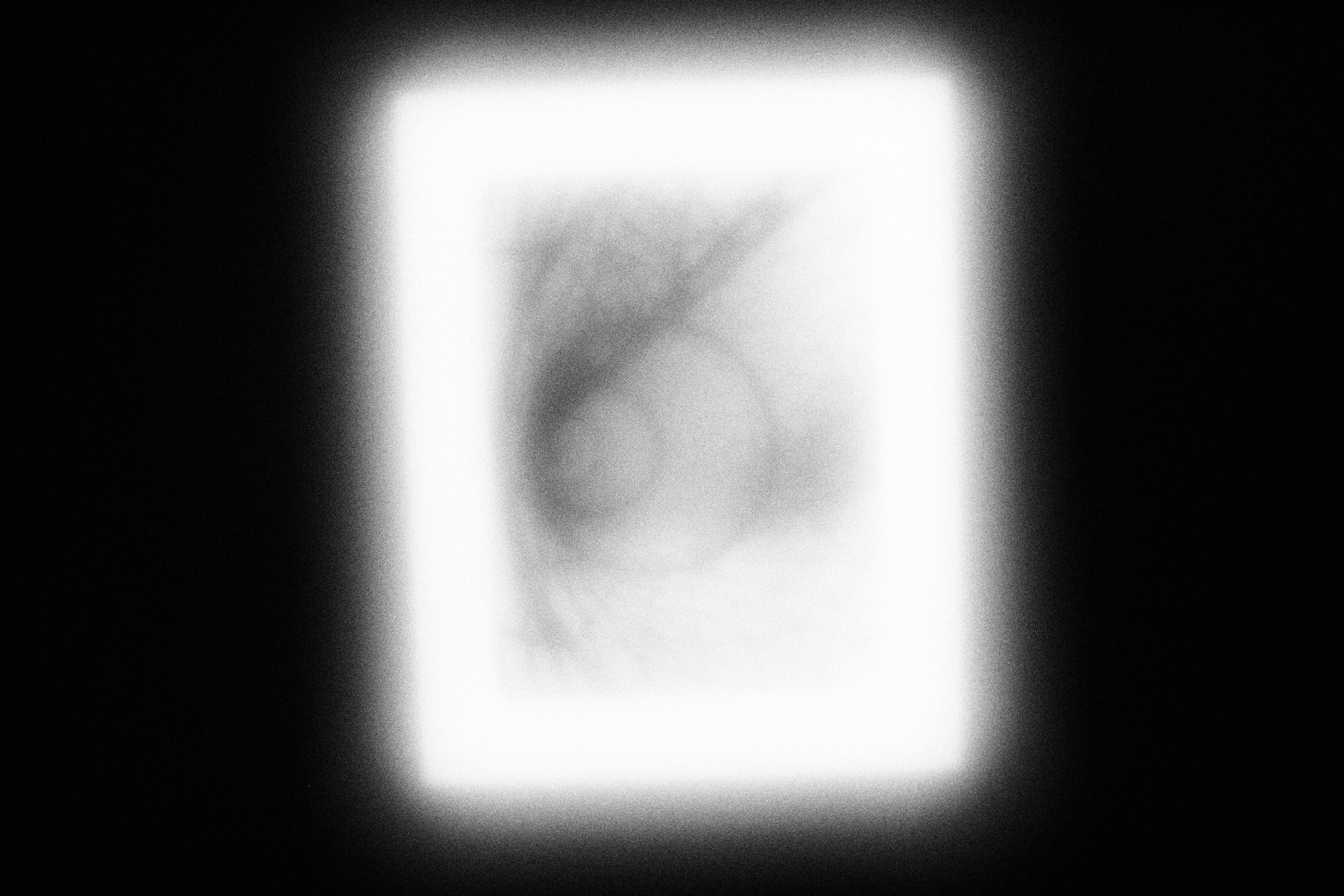 Маленькие искусства и я, Полина Шадрина