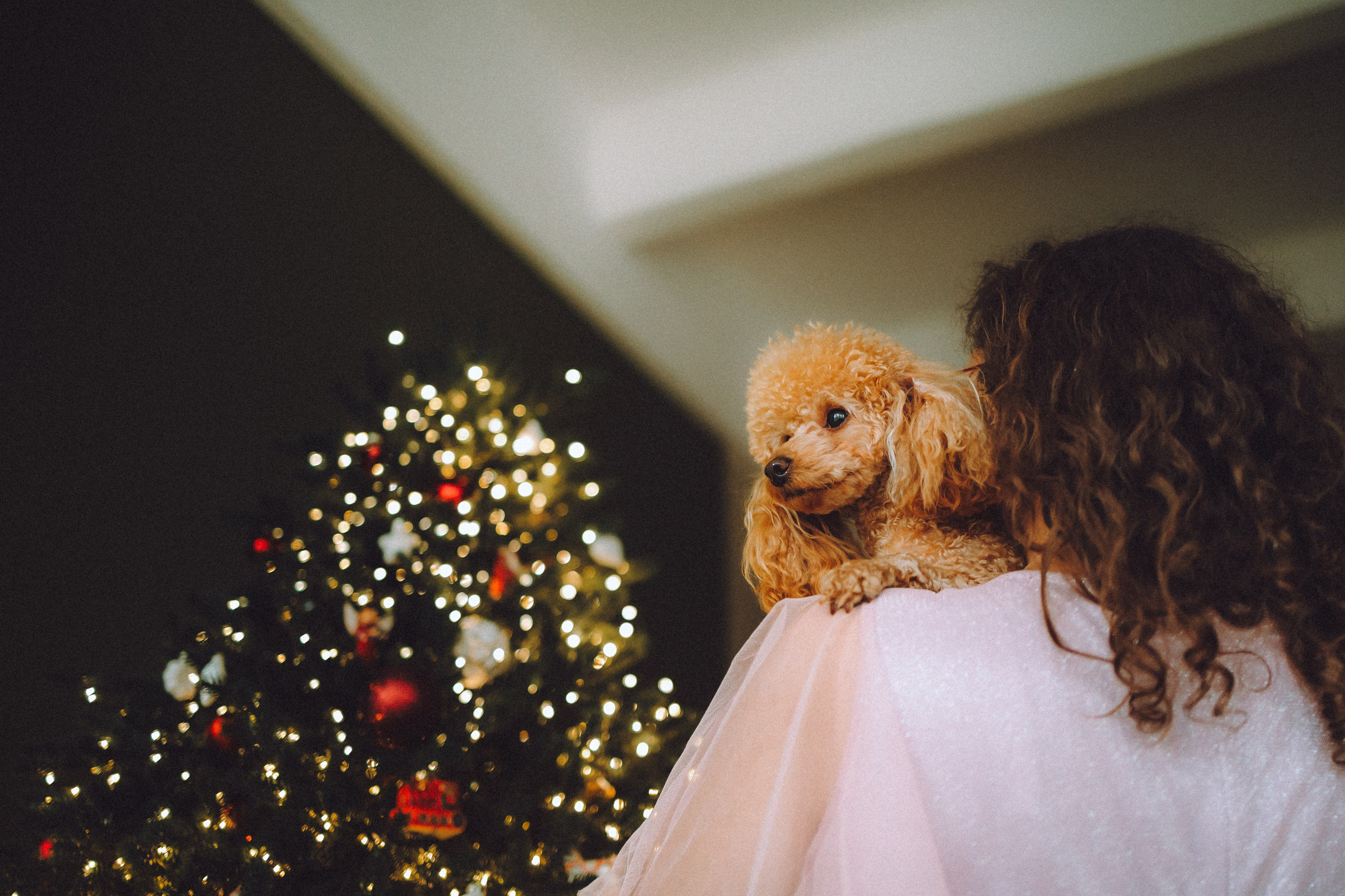 Джули, Шелли и их семья