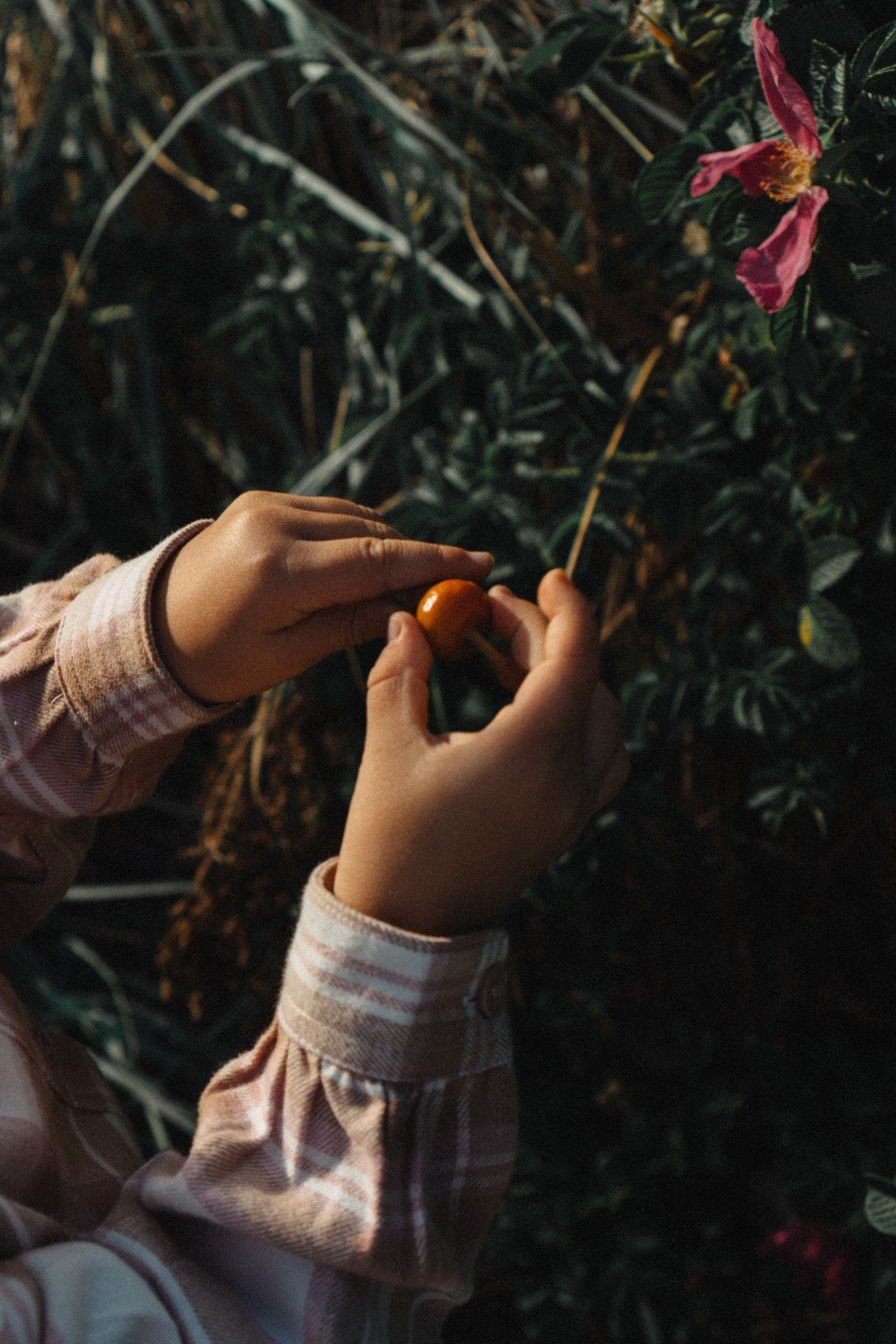 МАМА И ДОЧКА НА ФИНСКОМ ЗАЛИВЕ. Профессиональный фотограф, Санкт-Петербург — Виктория Богомолова