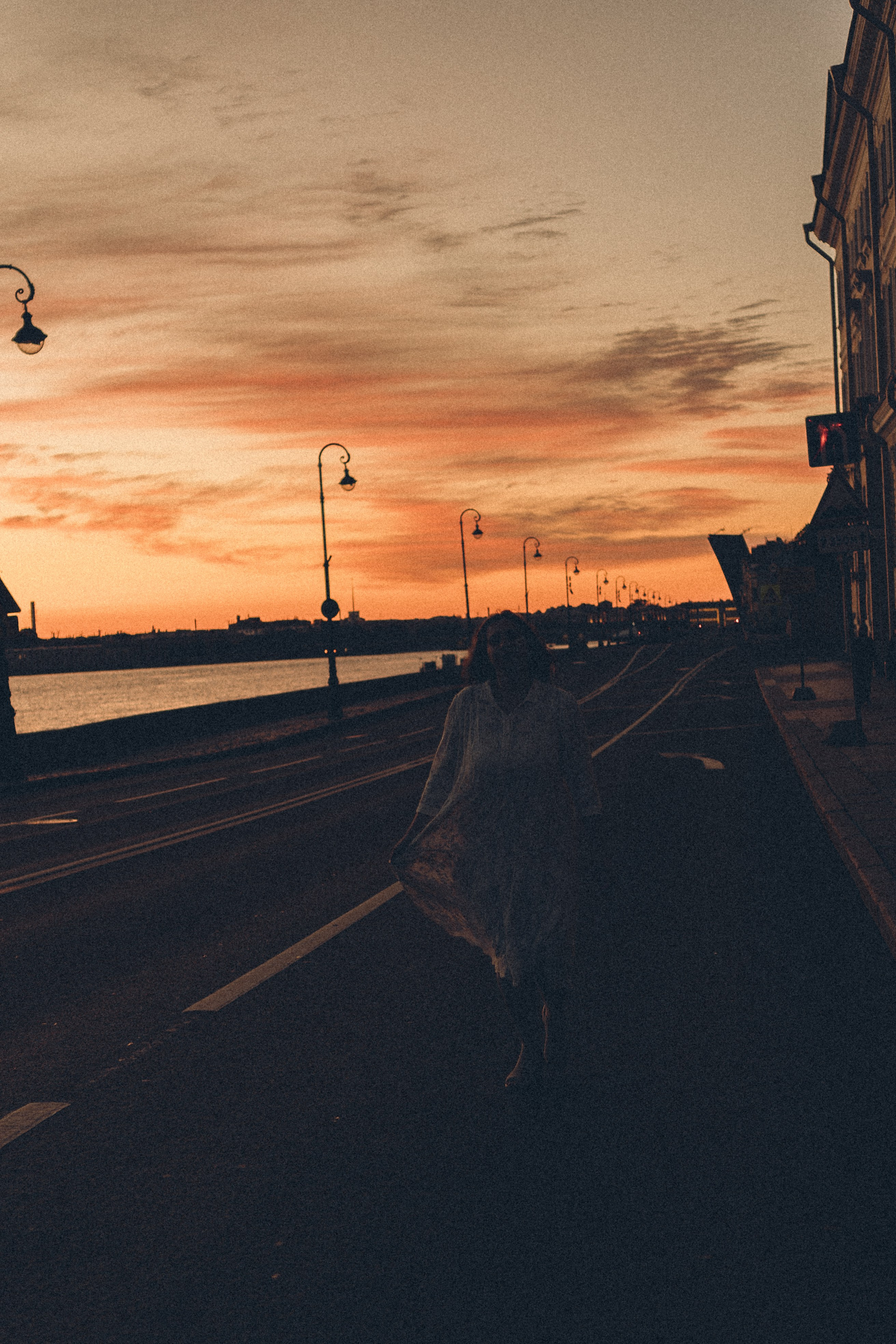 РАССВЕТ С РАЗВОДНЫМИ МОСТАМИ. Профессиональный фотограф, Санкт-Петербург — Виктория Богомолова