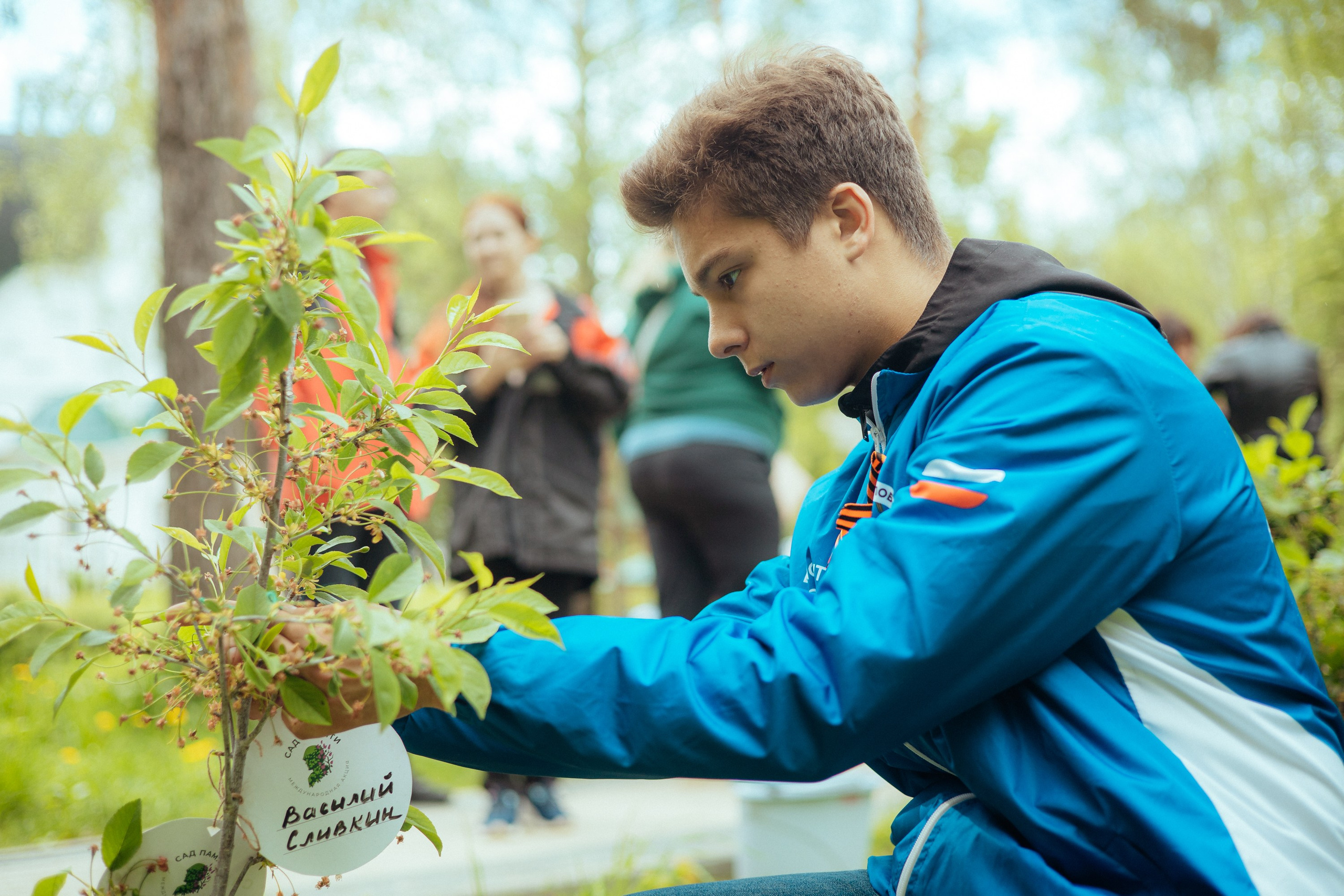 Сад памяти | волонтеры победы