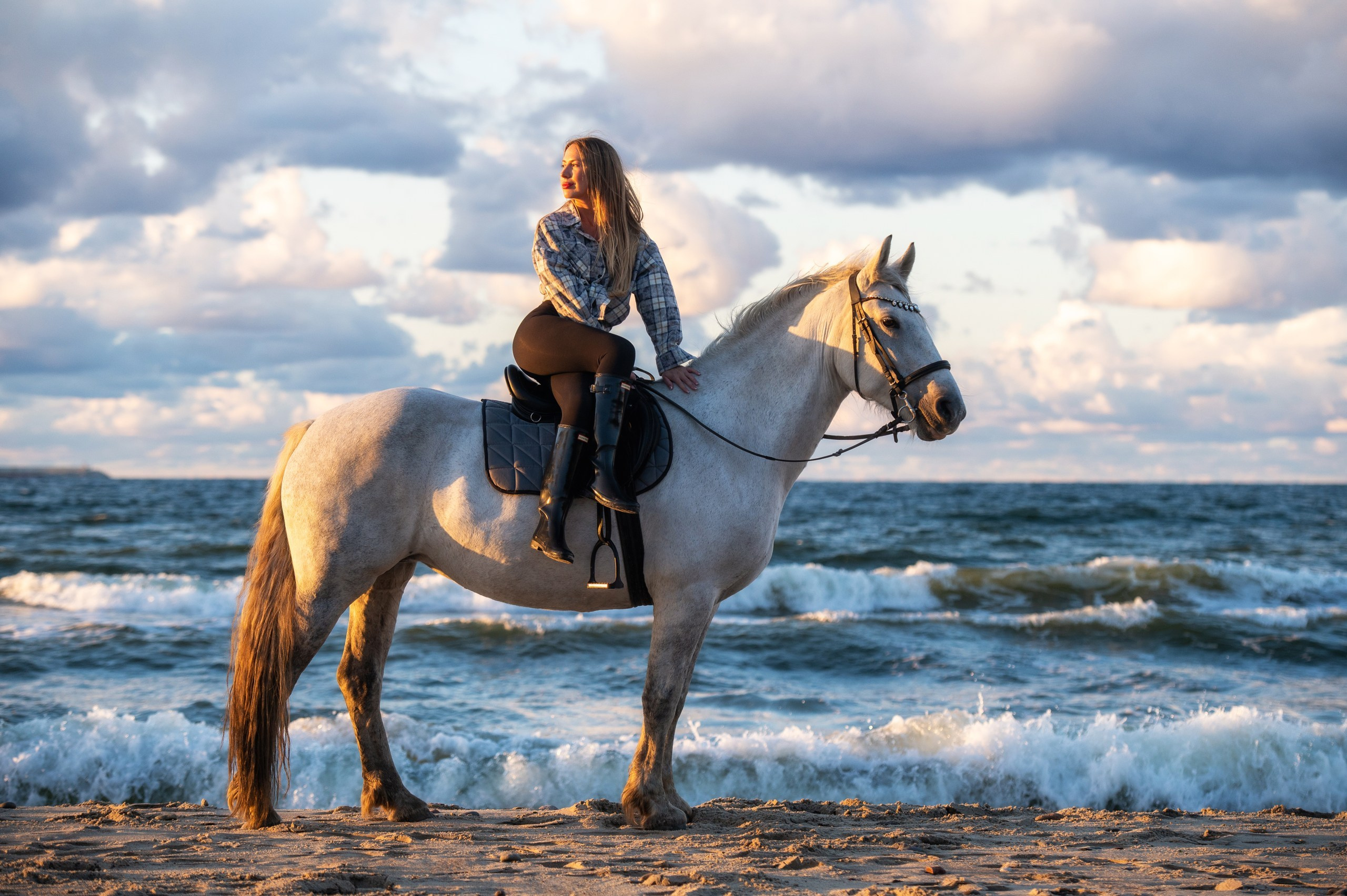 Побережье Балтийского моря. Фотограф с лошадьми в Калининграде Татьяна Ларина