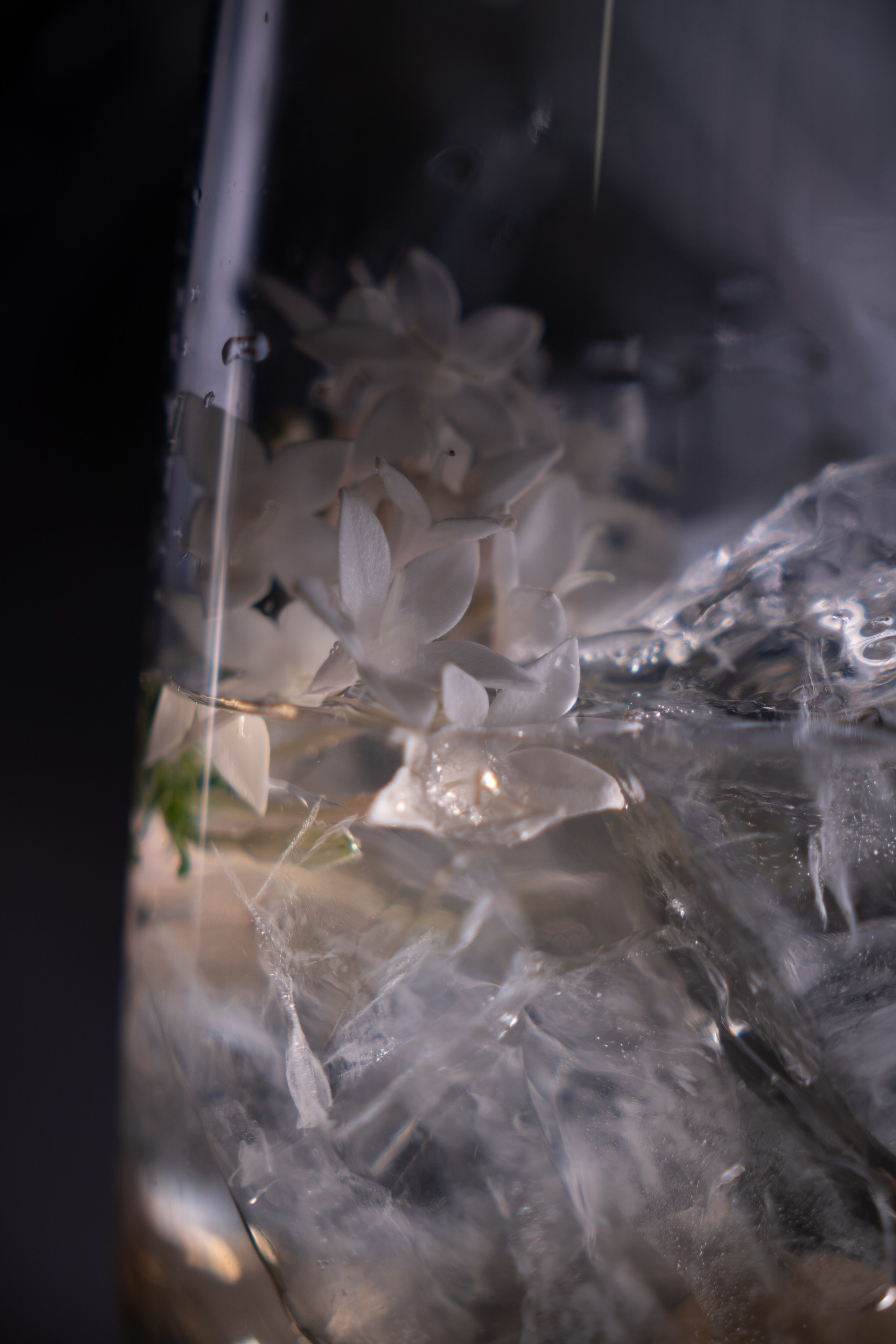 Bar agency «PROJECT». Фотограф Дмитрий Жилин