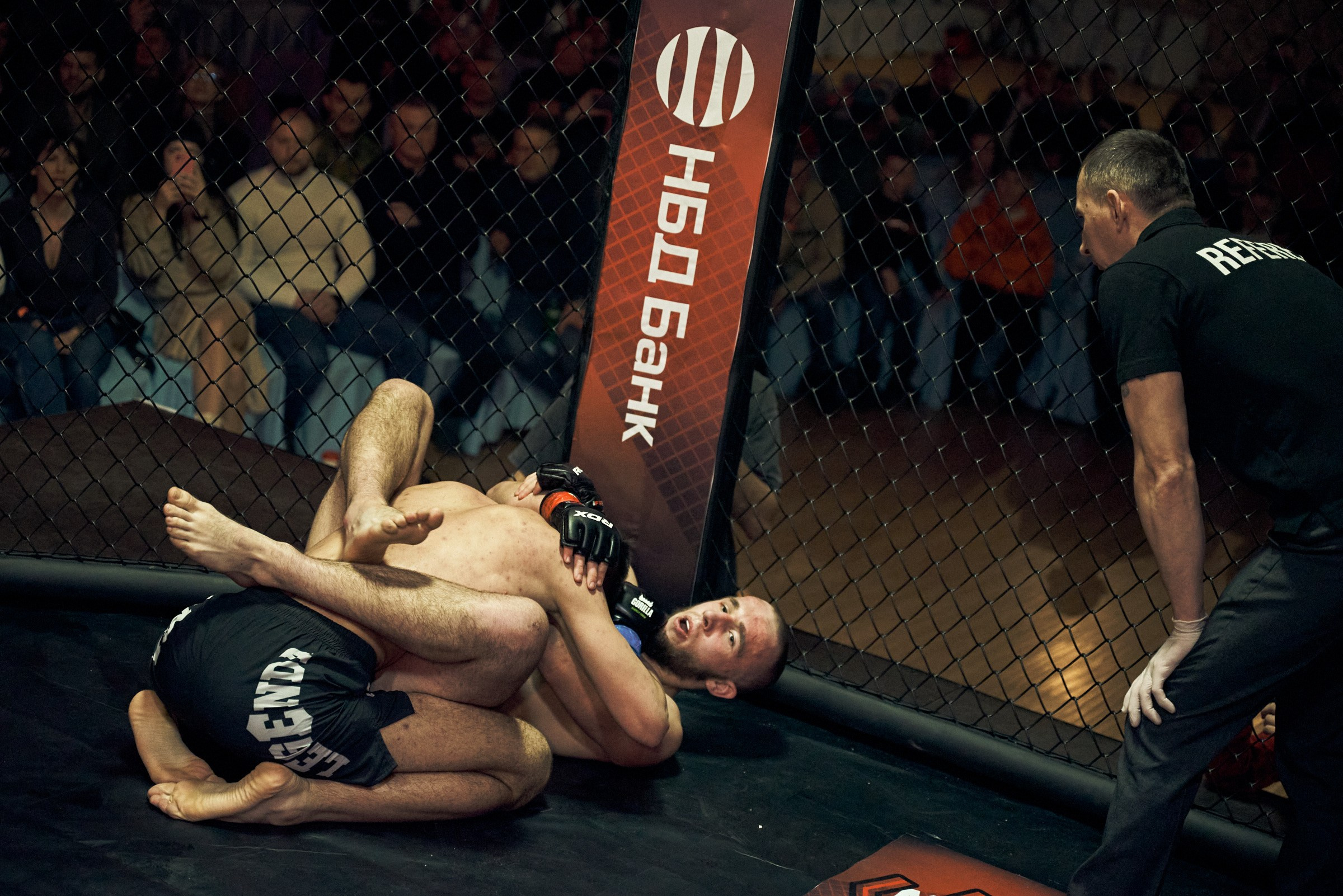 Бои. Маляревич Дмитрий свадебный фотограф