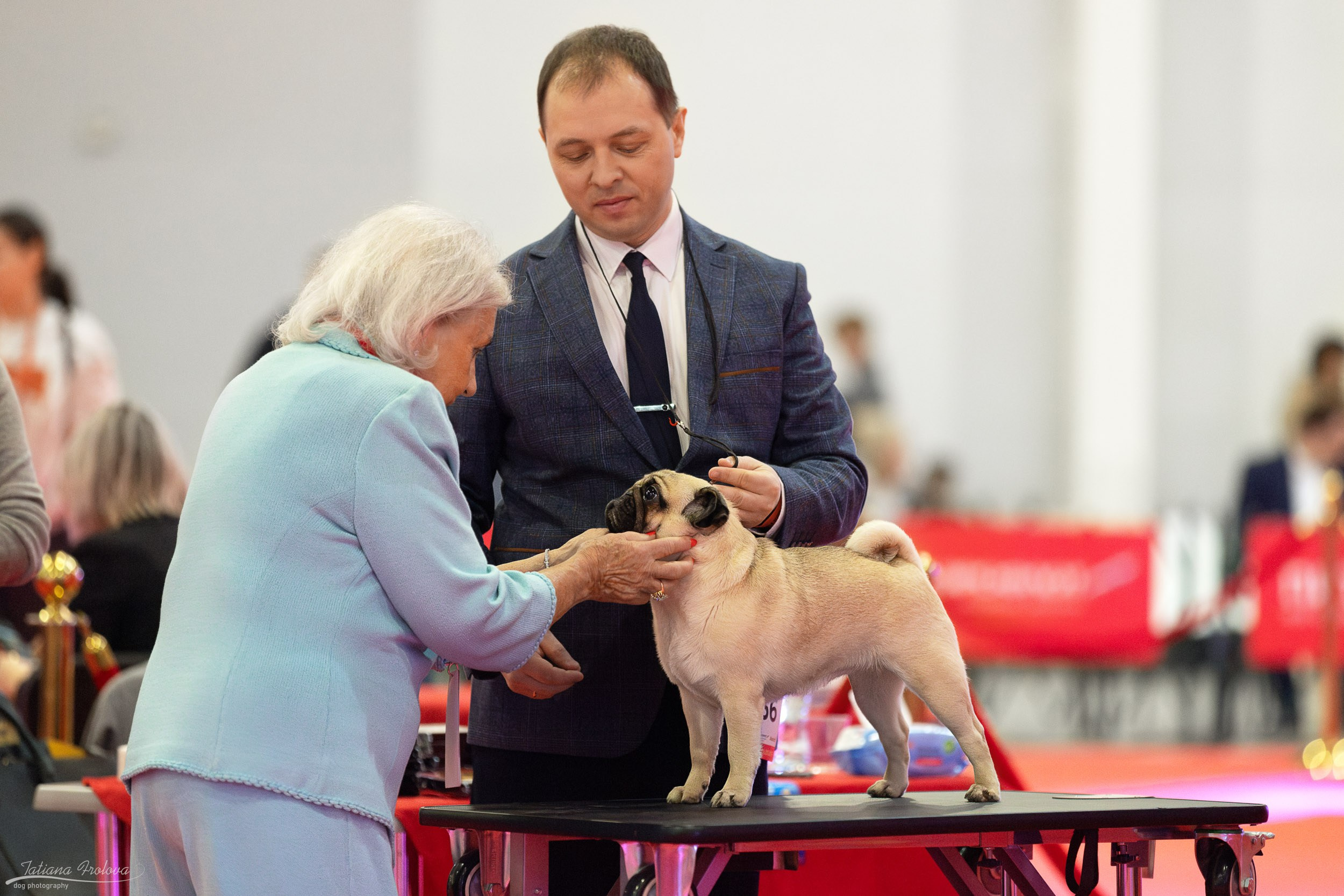 Фото с выставки РКФ. Фотограф-анималист в Москве и Московской области Татьяна Фролова