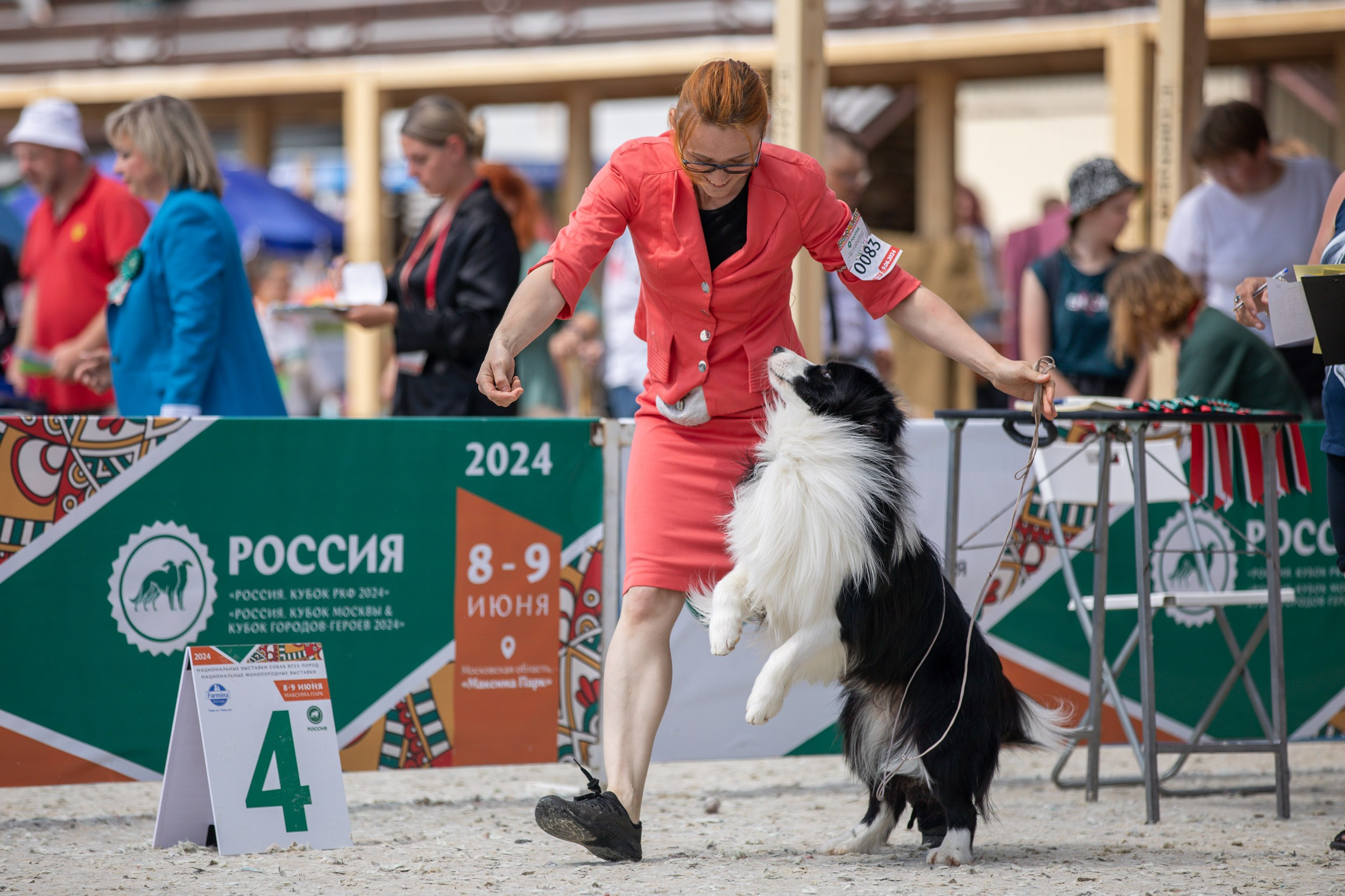 Репортаж с выставки Россия. Фотограф-анималист в Москве и Московской области Татьяна Фролова