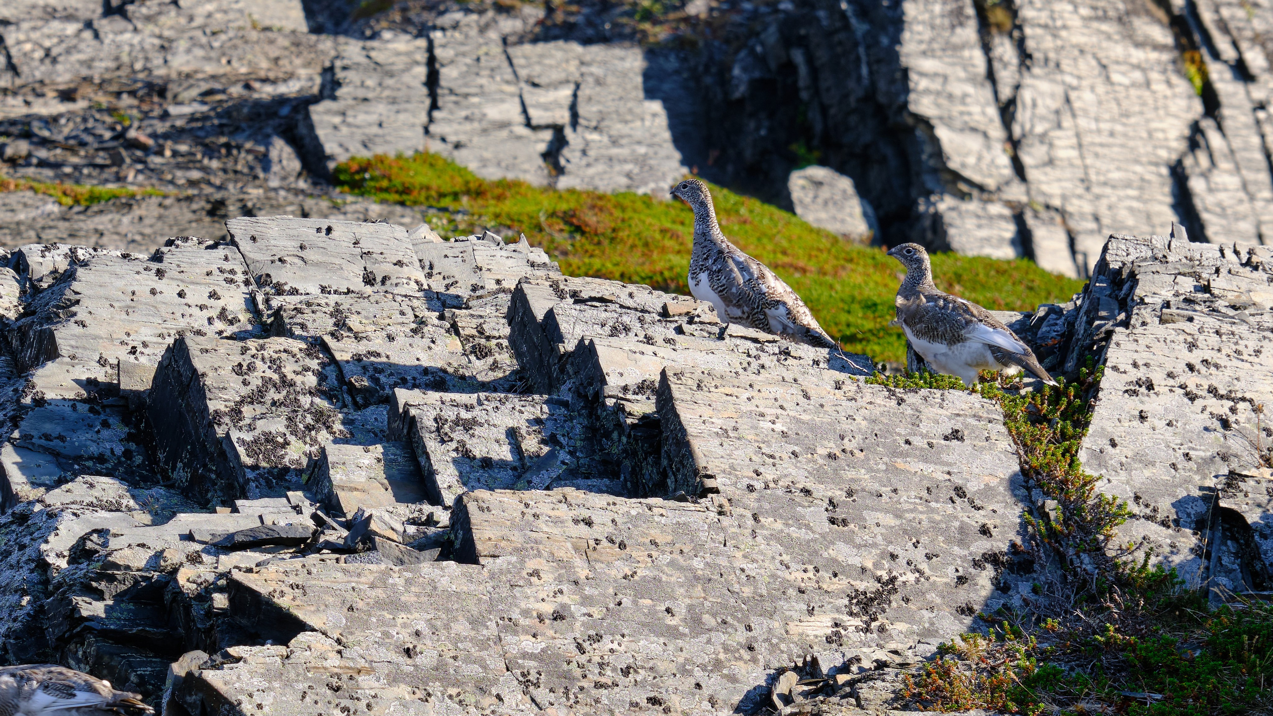 Баренцево море. Пейзажи Крайнего Севера. Баренцево море, Рыбачий, Средний, Немецкий