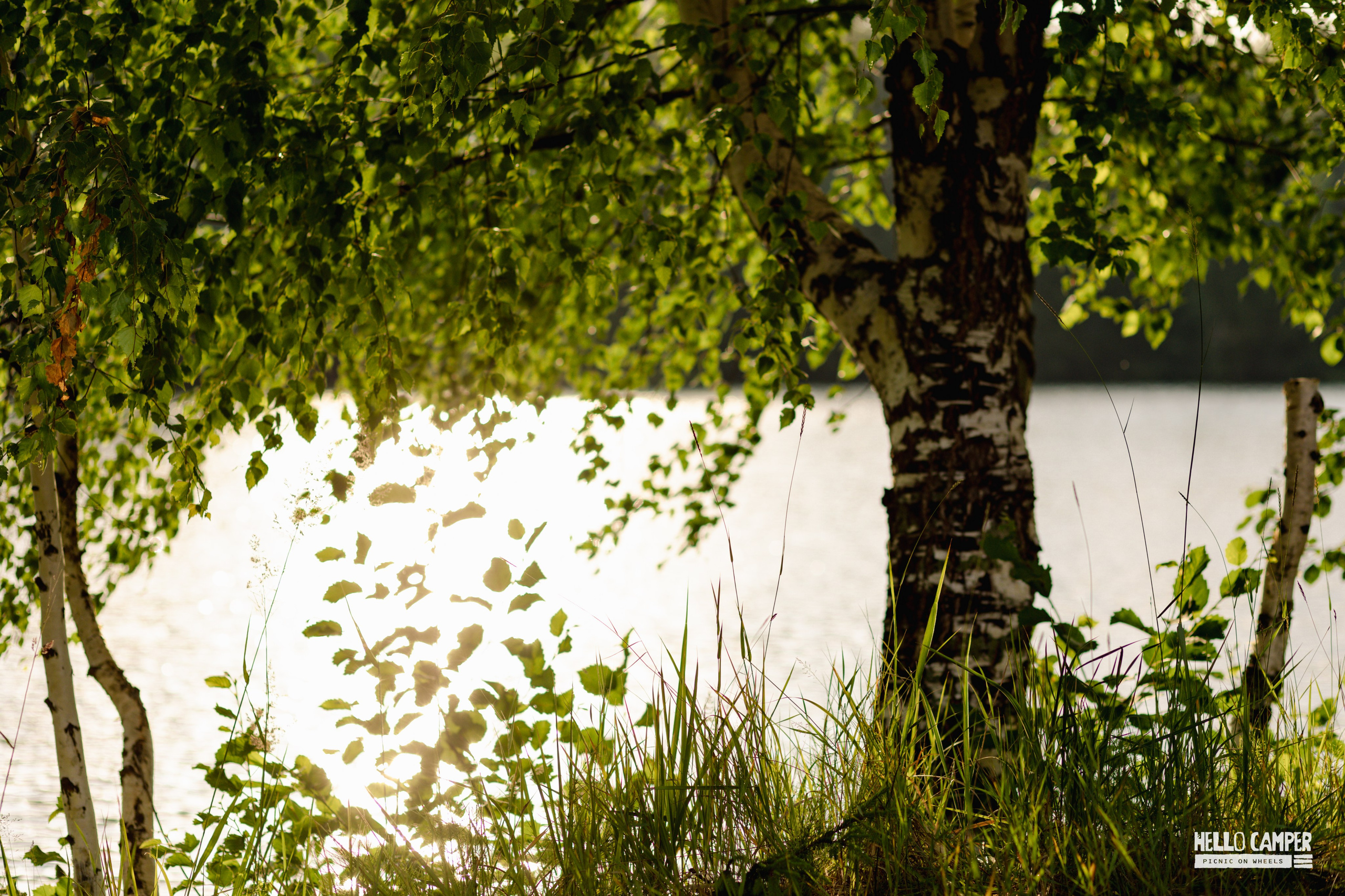 Фестиваль Hello Camper 2024 открытие. Репортажный и портретный фотограф в Санктпетербурге. Видиосъемка мероприятий в Санкт-Петербурге