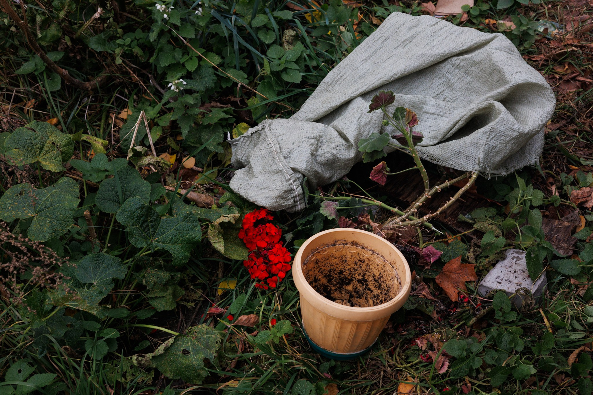 Дрейф фотокружка и Полина, 19.10.25