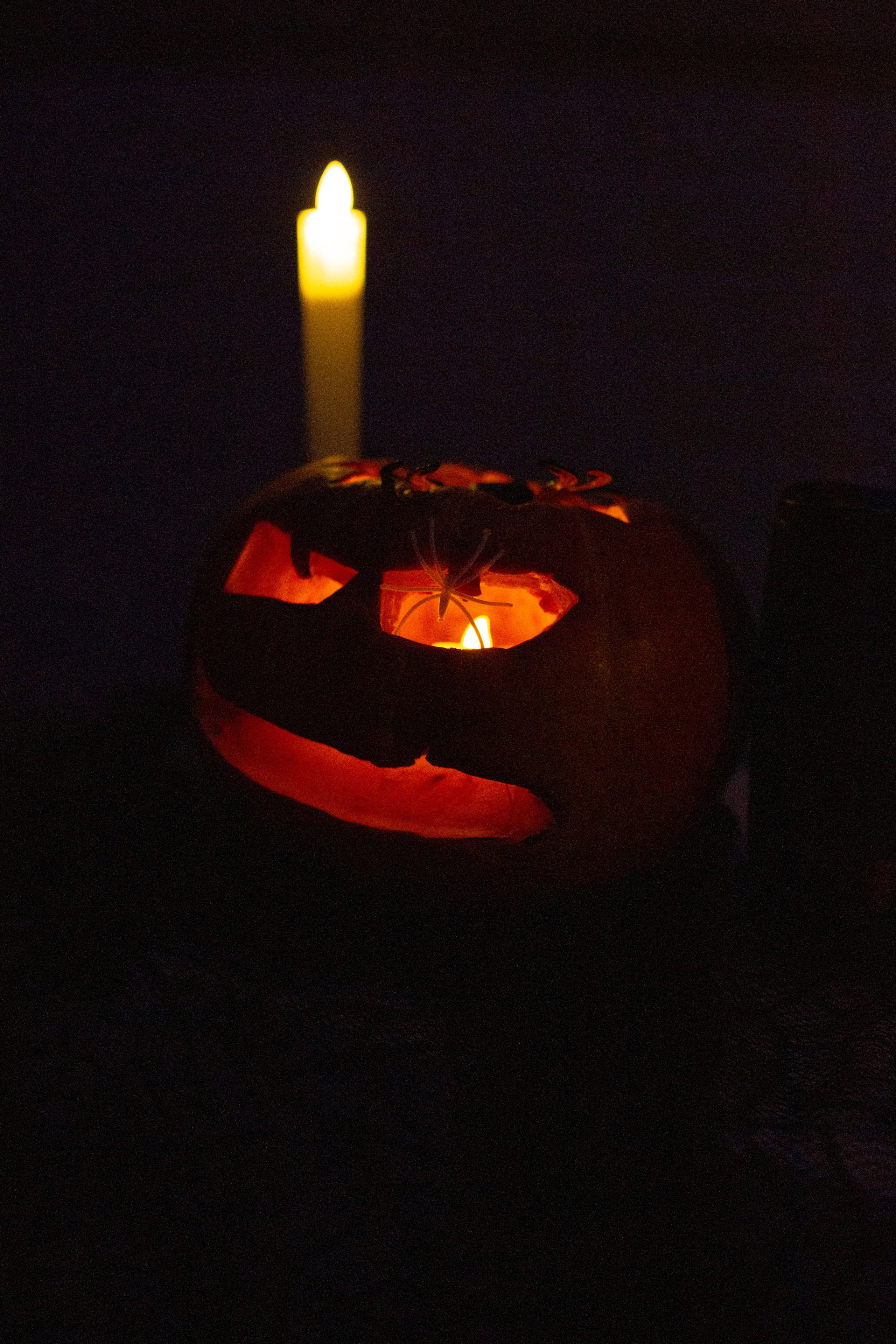 Helloween. Детский и школьный фотограф