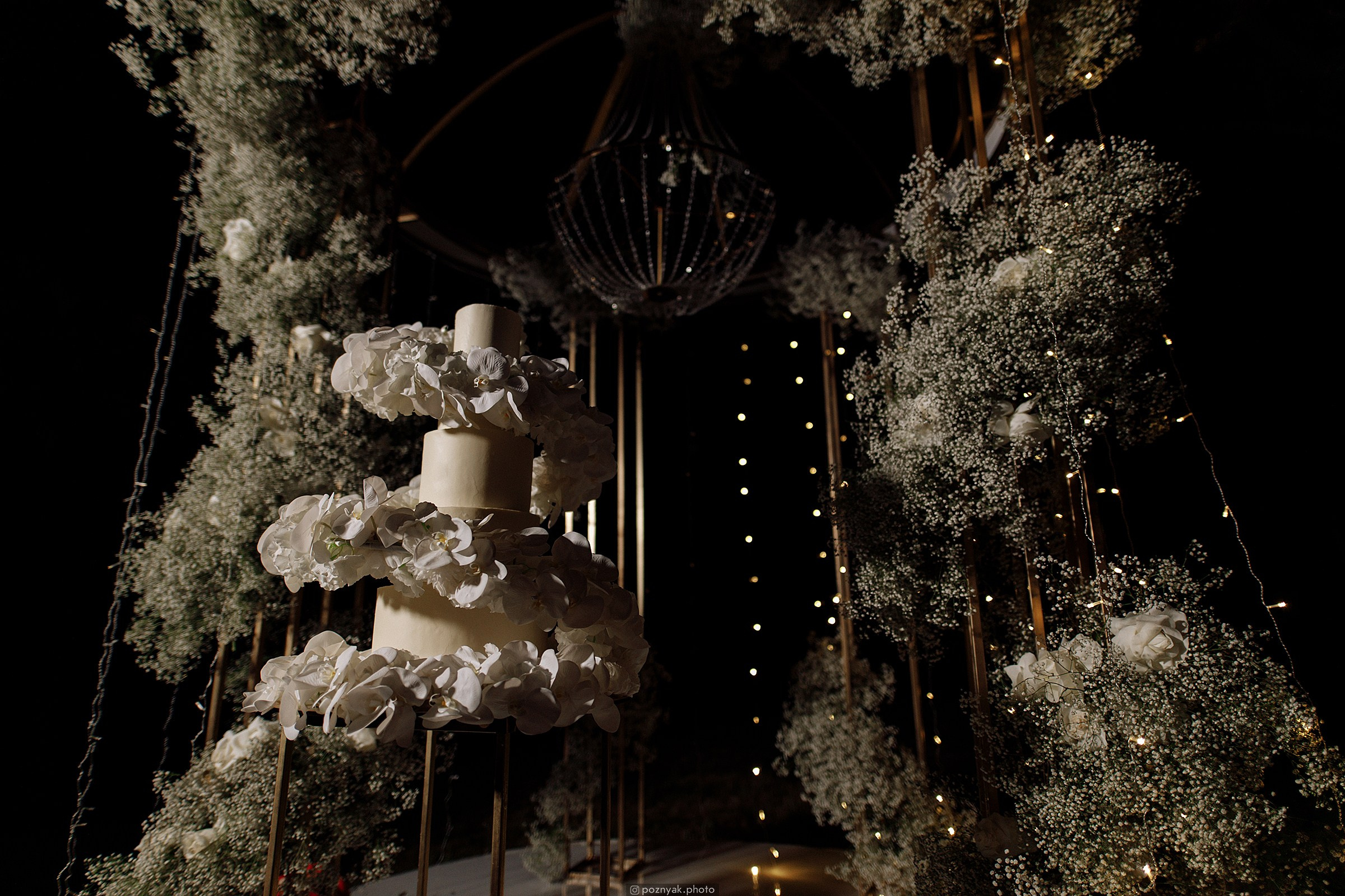 Игорь & Александра. Дмитрий Позняк — свадебный фотограф в Брянске. Личный сайт фотографа