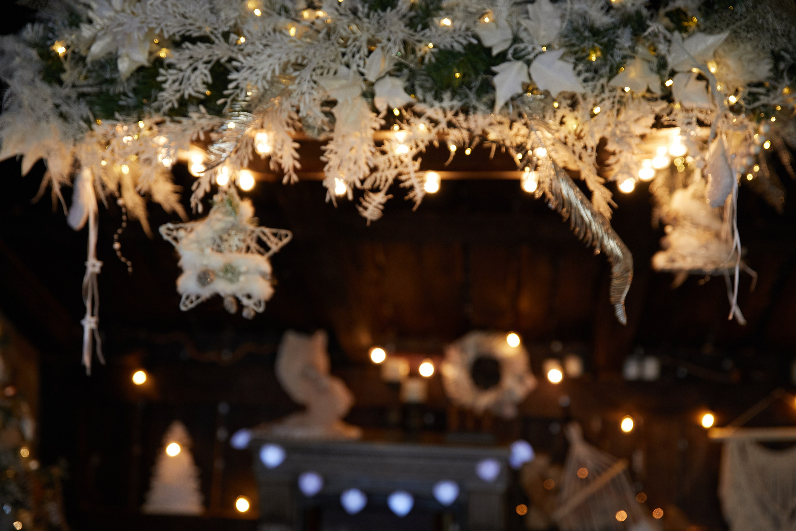 Новогодние съёмки. Татьяна Бабаева — Фотограф