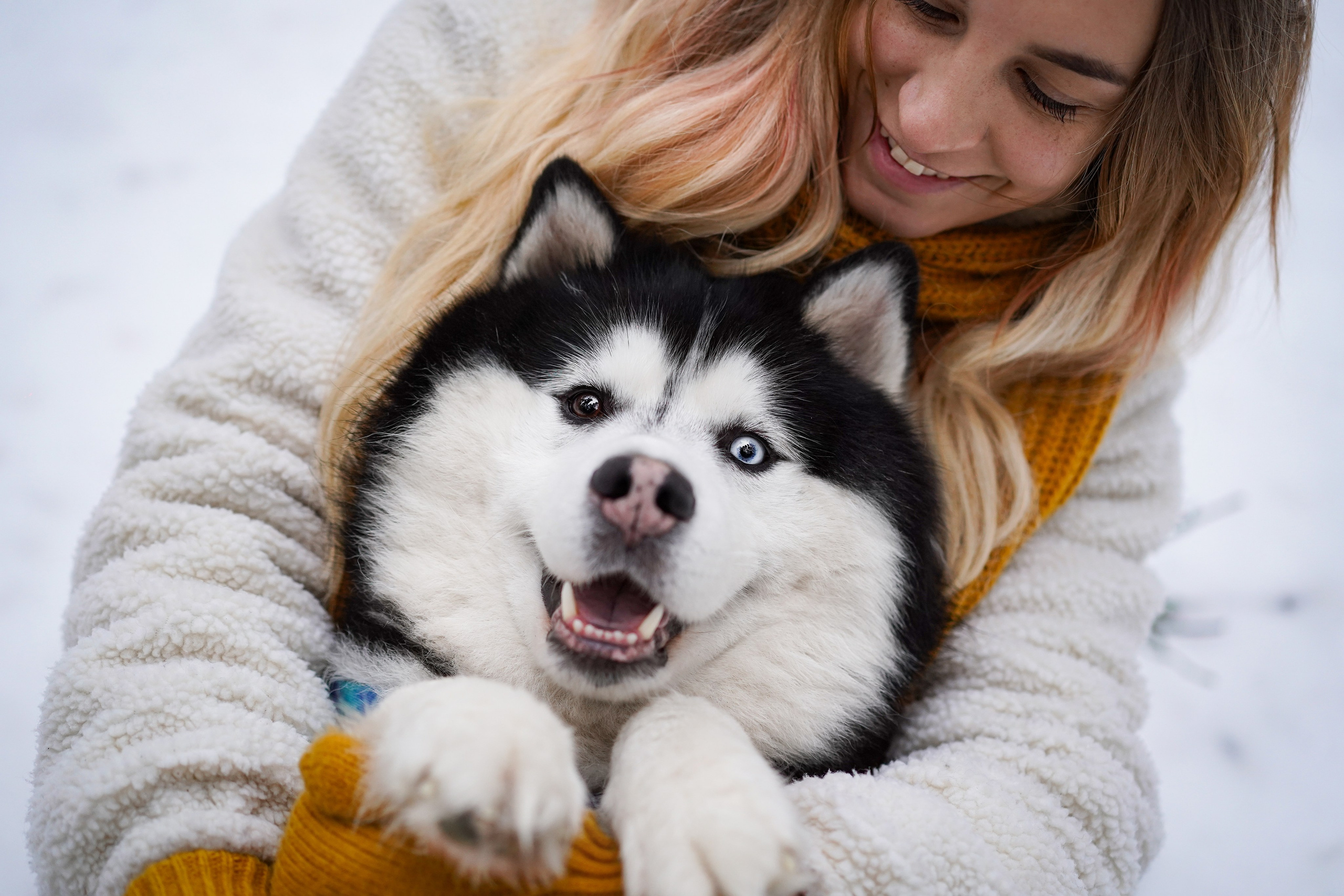 Лора Джанго и Хэппи. Фотограф-анималист в Санкт-Петербурге Яна Мартынова