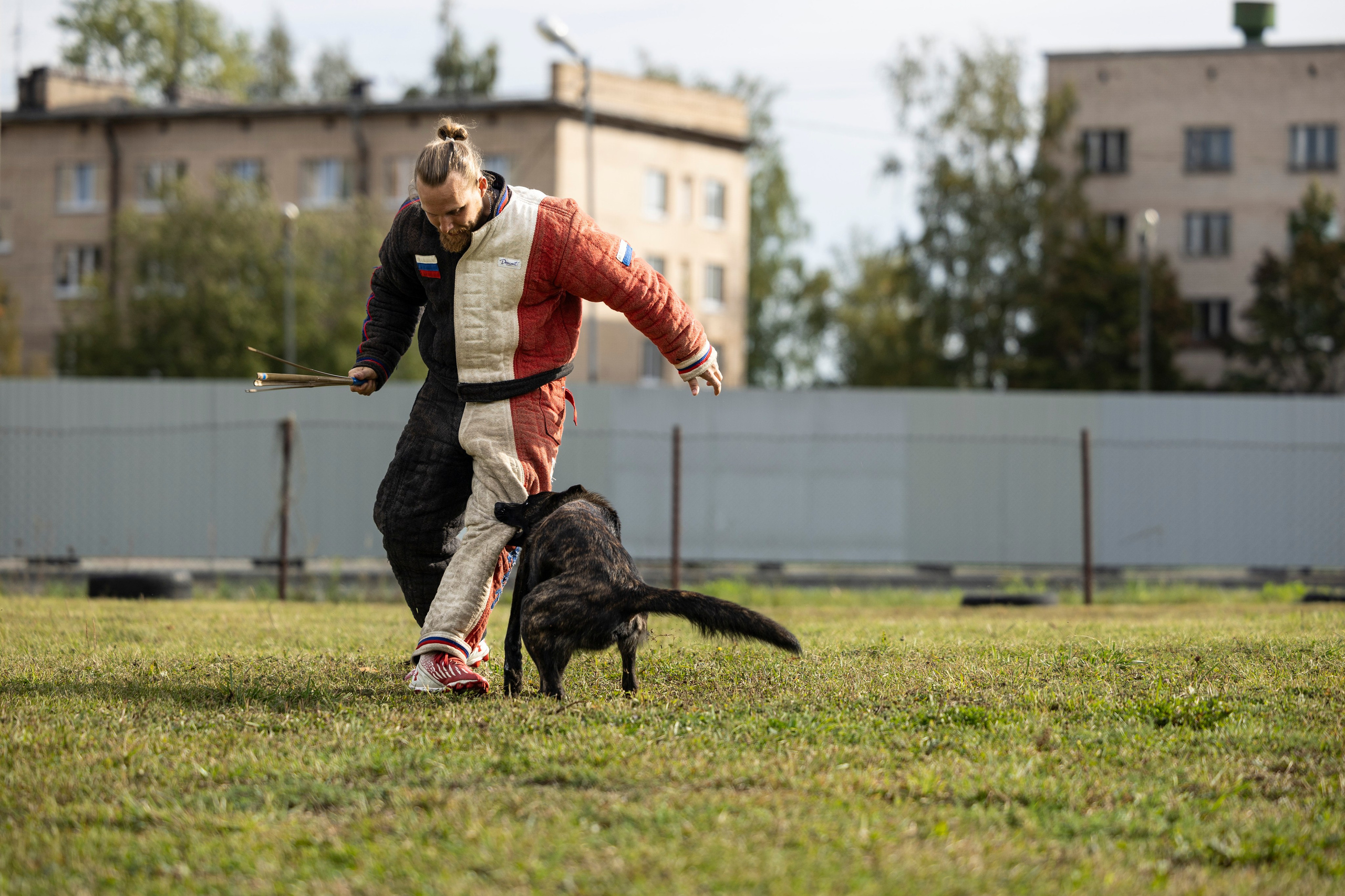 Испытания по Мондьорингу г. Пушкин. Фотограф-анималист Анна Маринич