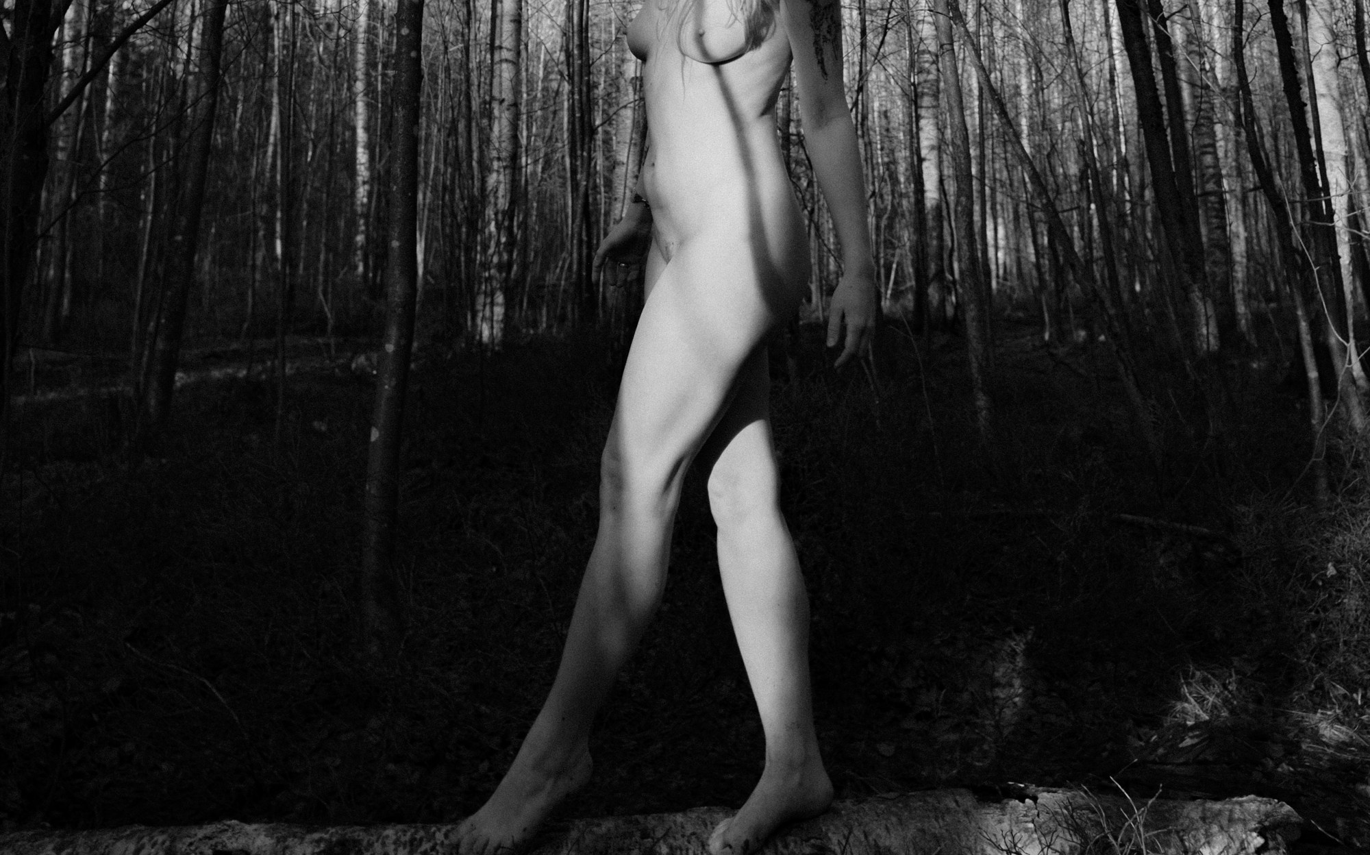 ✨misha khazov • photography • performance