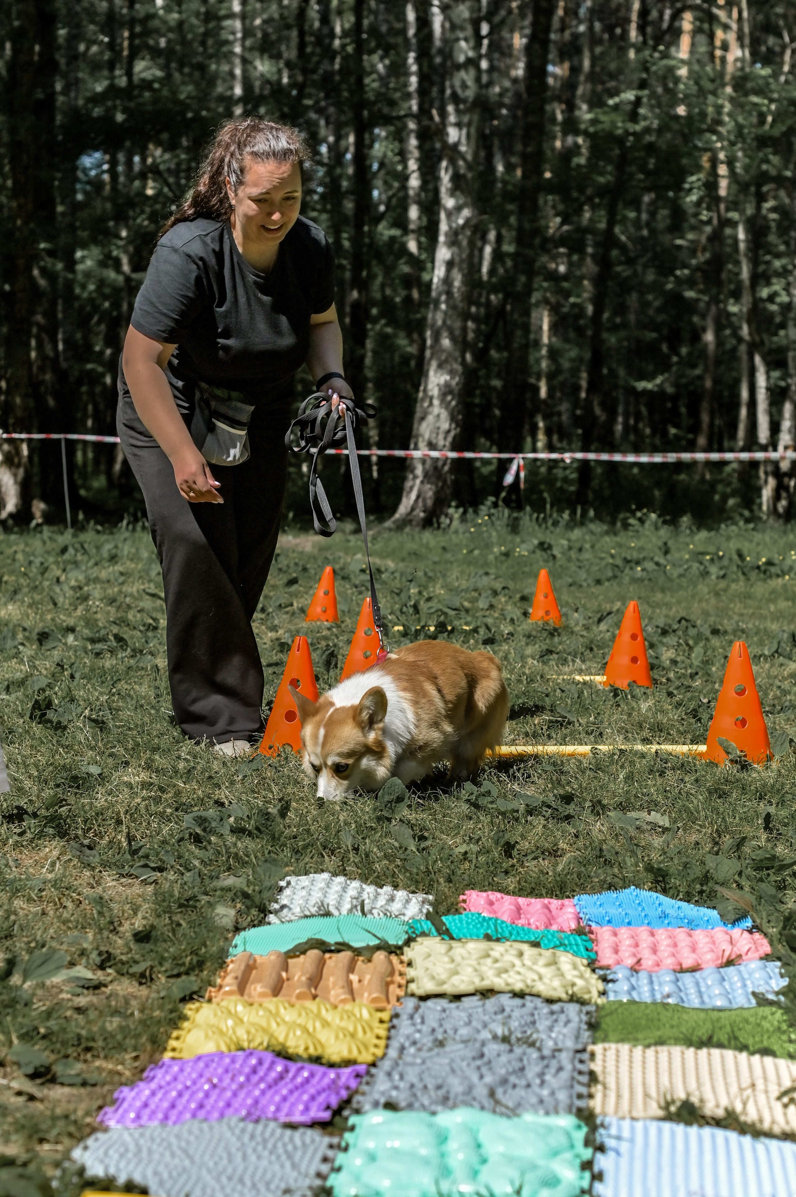 Кинологические соревнования. Семейный и репортажный фотограф в Москве Анастасия Трубкина