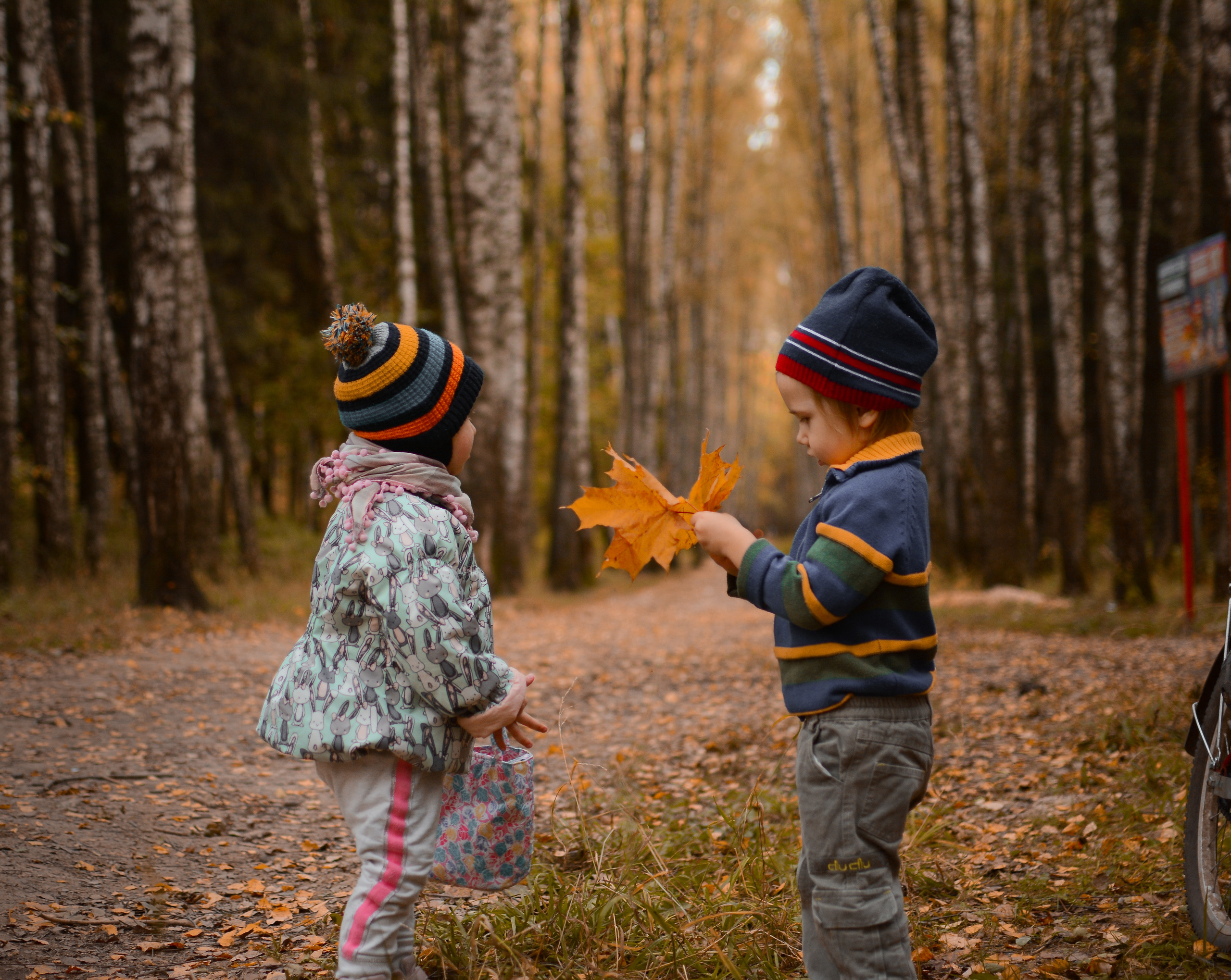 Осенняя фотосессия. Семейный фотограф