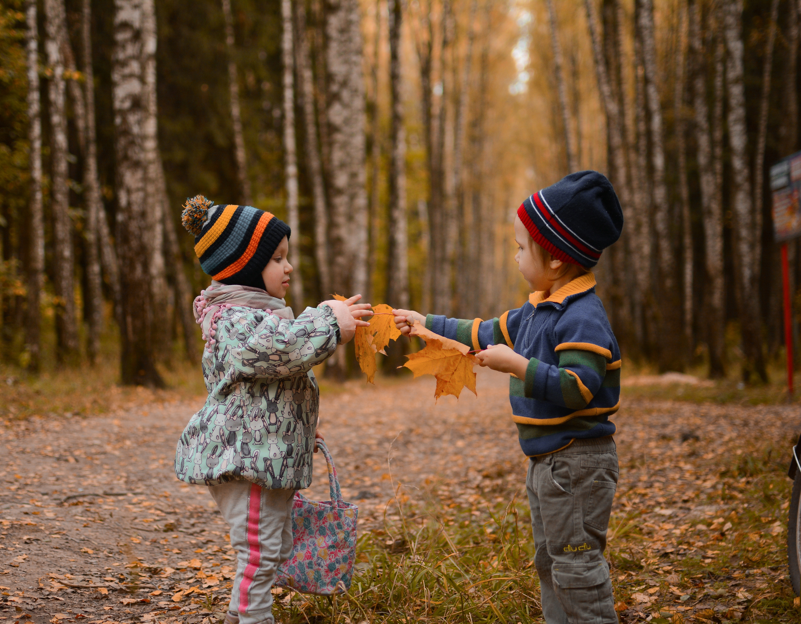 Осенняя фотосессия. Семейный фотограф