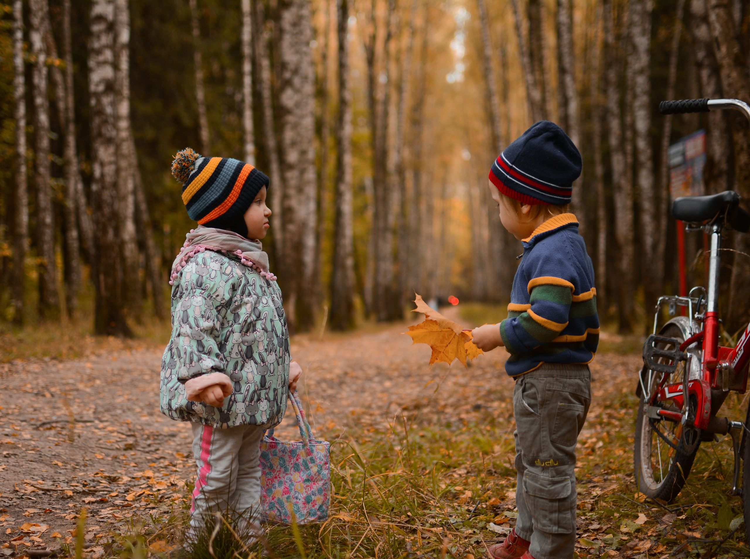 Осенняя фотосессия. Семейный фотограф