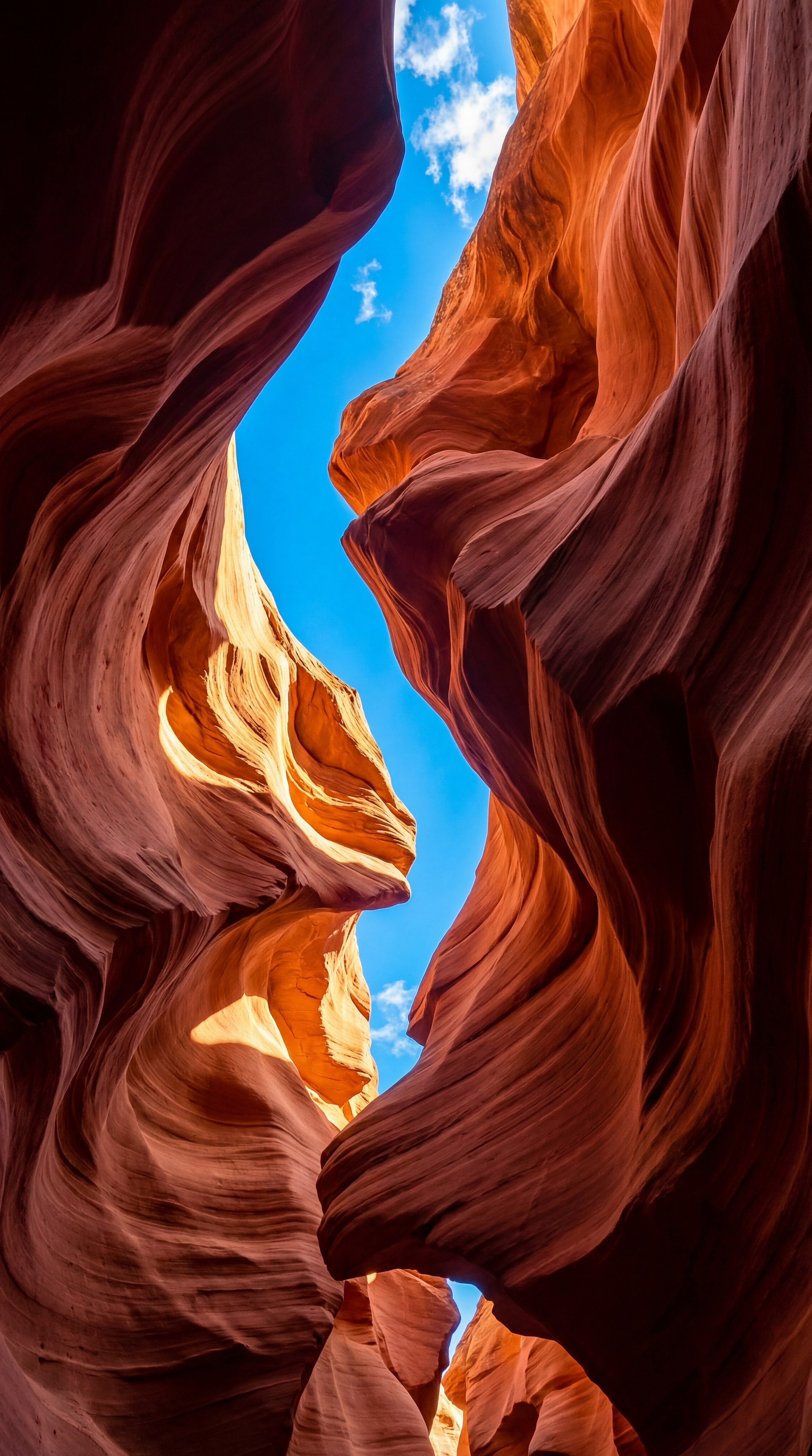 Украшение пакет фотогенераций. AI‑креатор: фото‑ и видео‑креативы на нейросетях