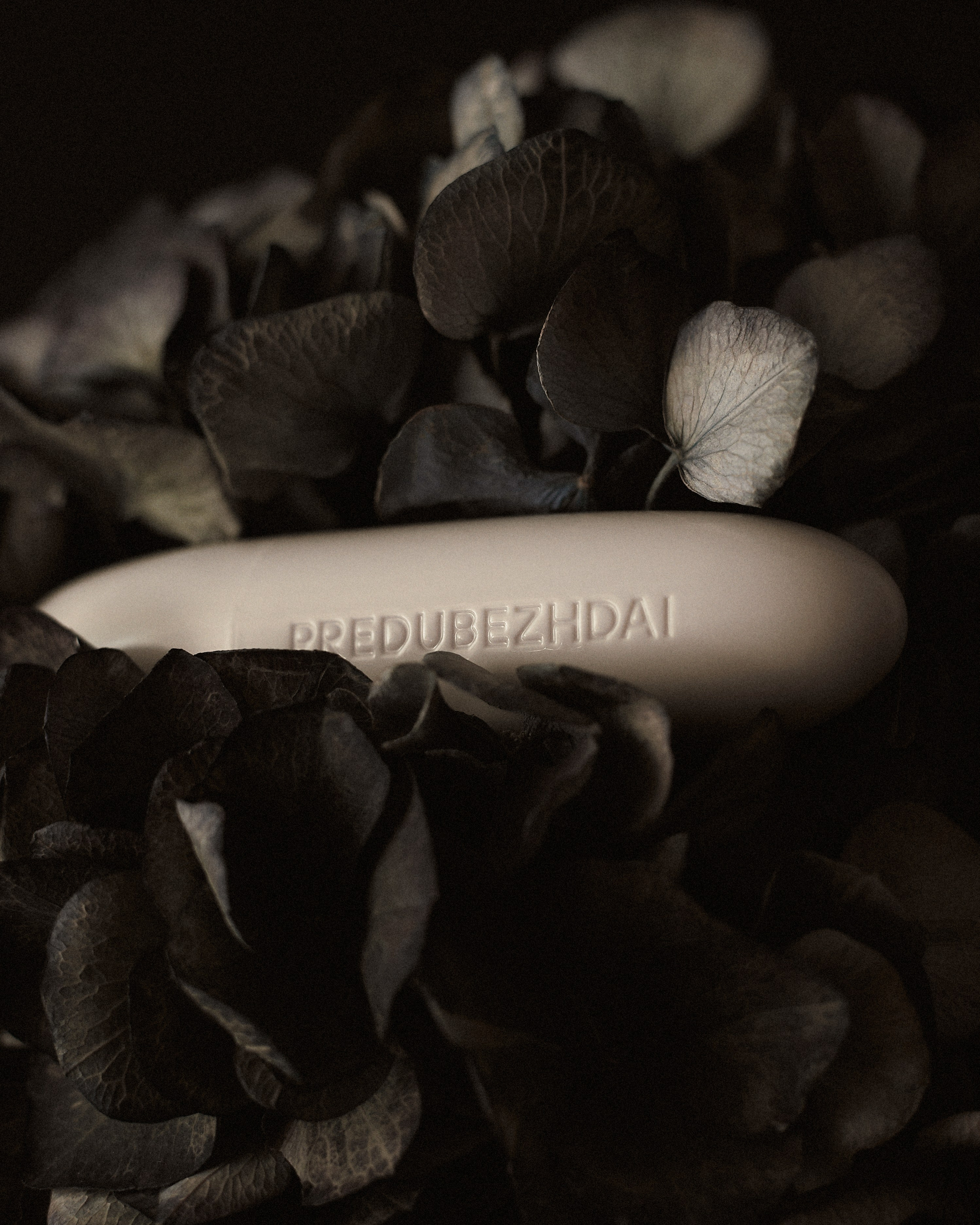 PREDUBEZHDAI. Лиза|фотограф для брендов и частных клиентов в Москве