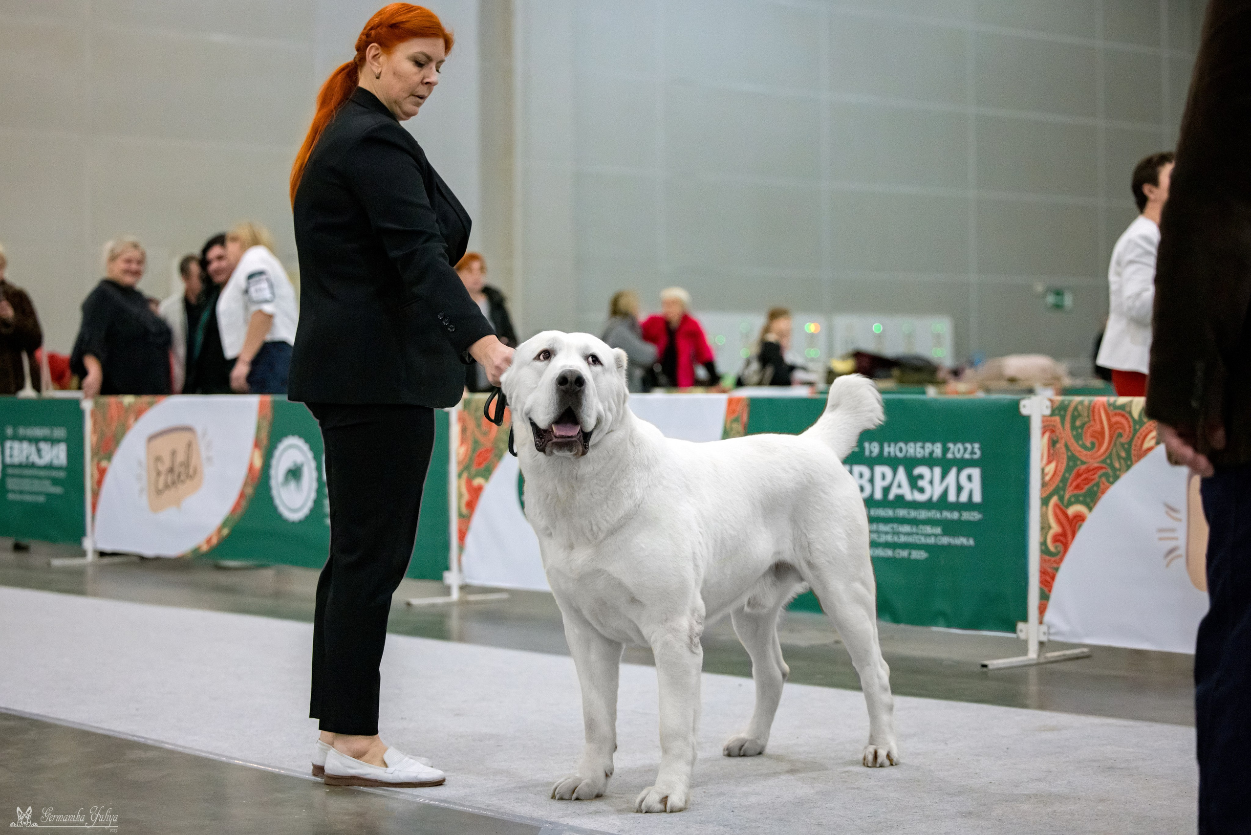 ЕВРАЗИЯ 18-19.11.2023. Фотограф-анималист Юлия Германика