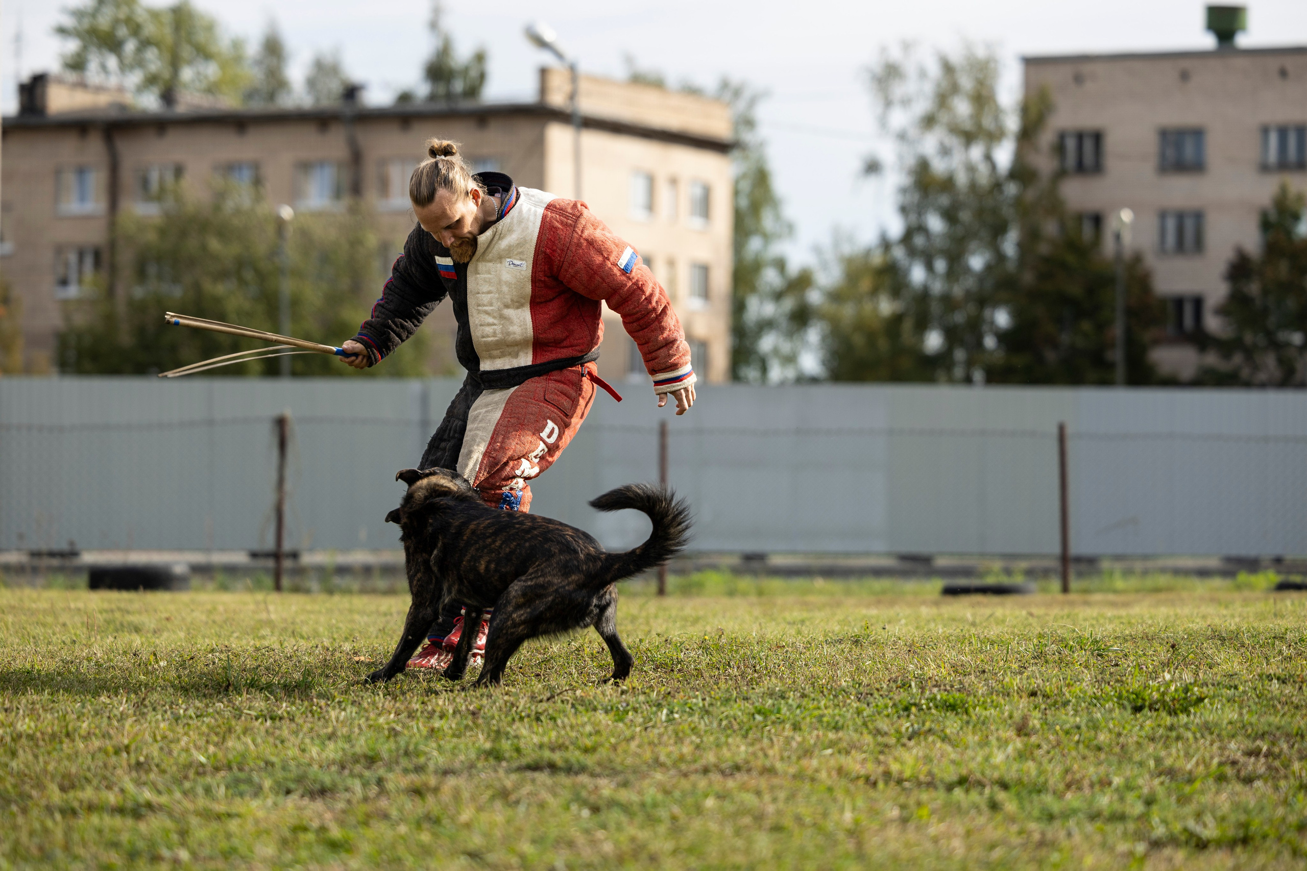 Испытания по Мондьорингу г. Пушкин. Фотограф-анималист Анна Маринич