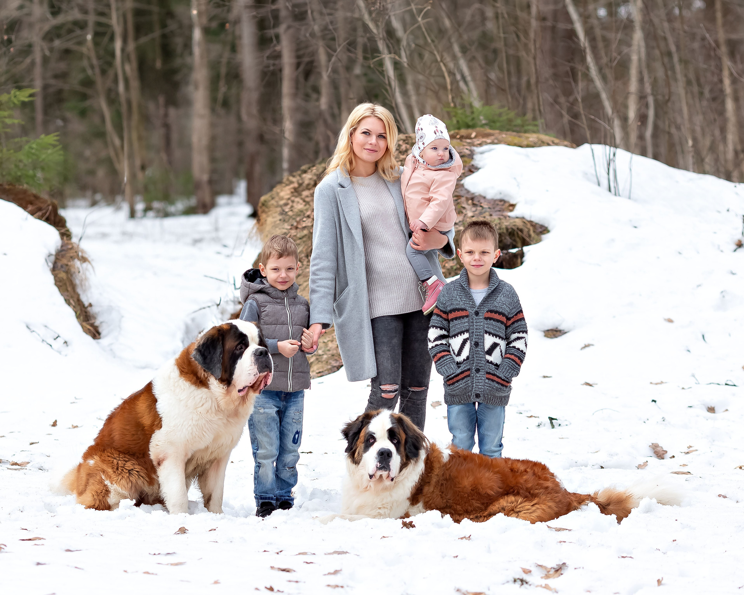 Семья в парке с сенбернарами