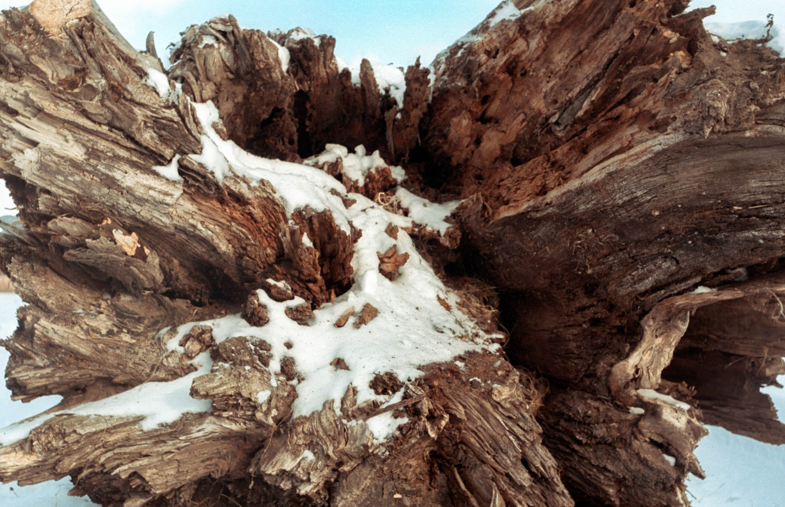 Макаров Сергей | Креативный продюсер