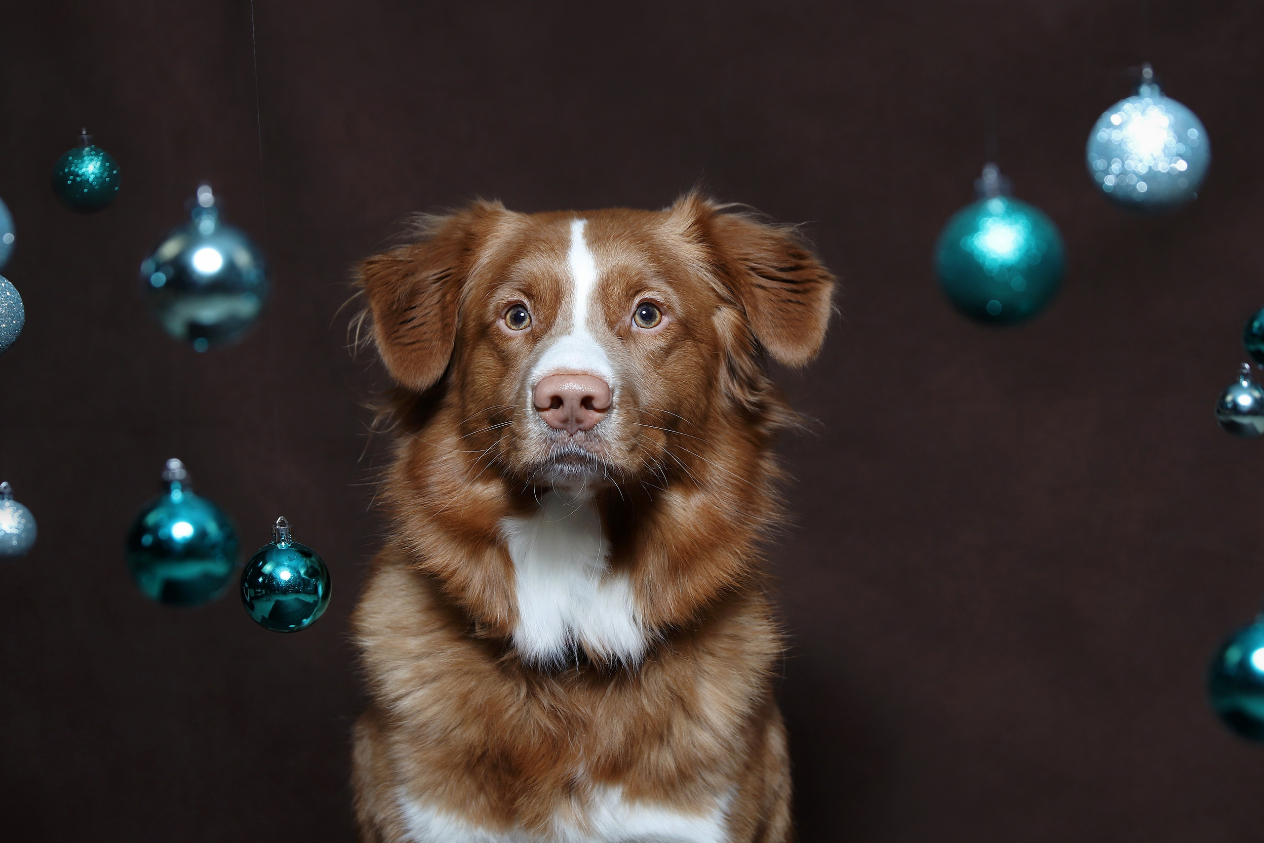 Ричард. Юлия Микульская. Рыбинск