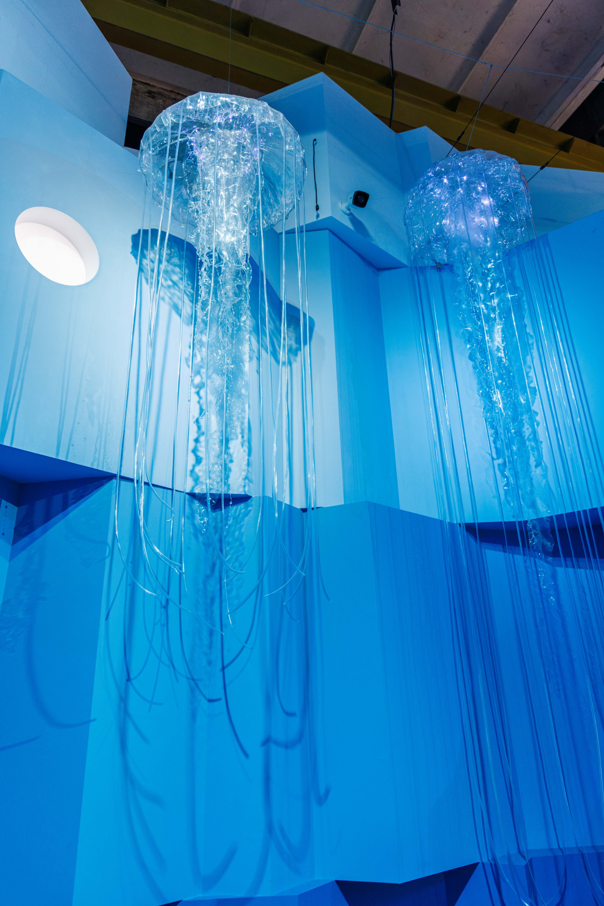 Лед. Жизнь — познавательно-развлекательная выставка. Фотограф Балаев Михаил