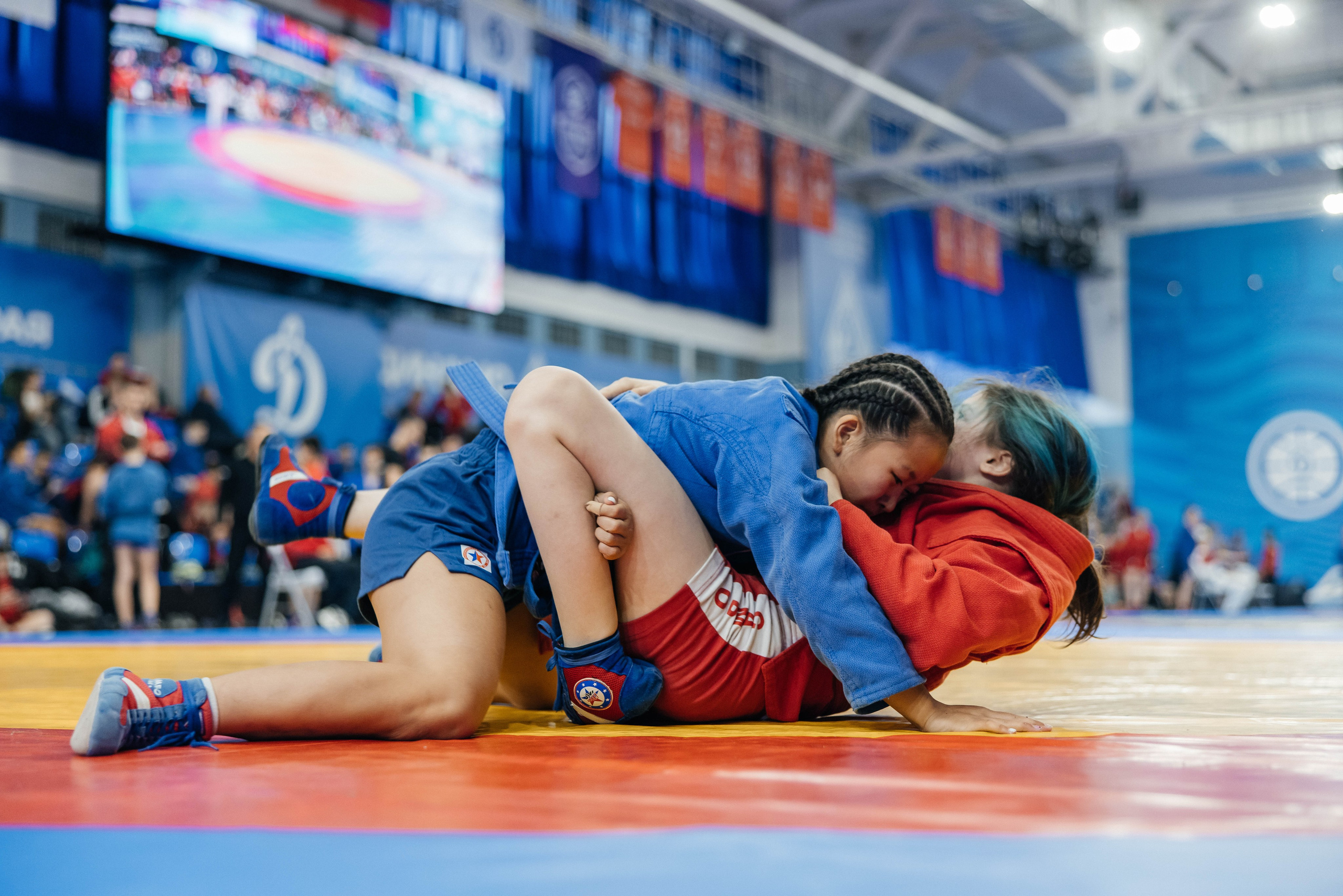 Sambo Championship. Maxim Tsoy Photography