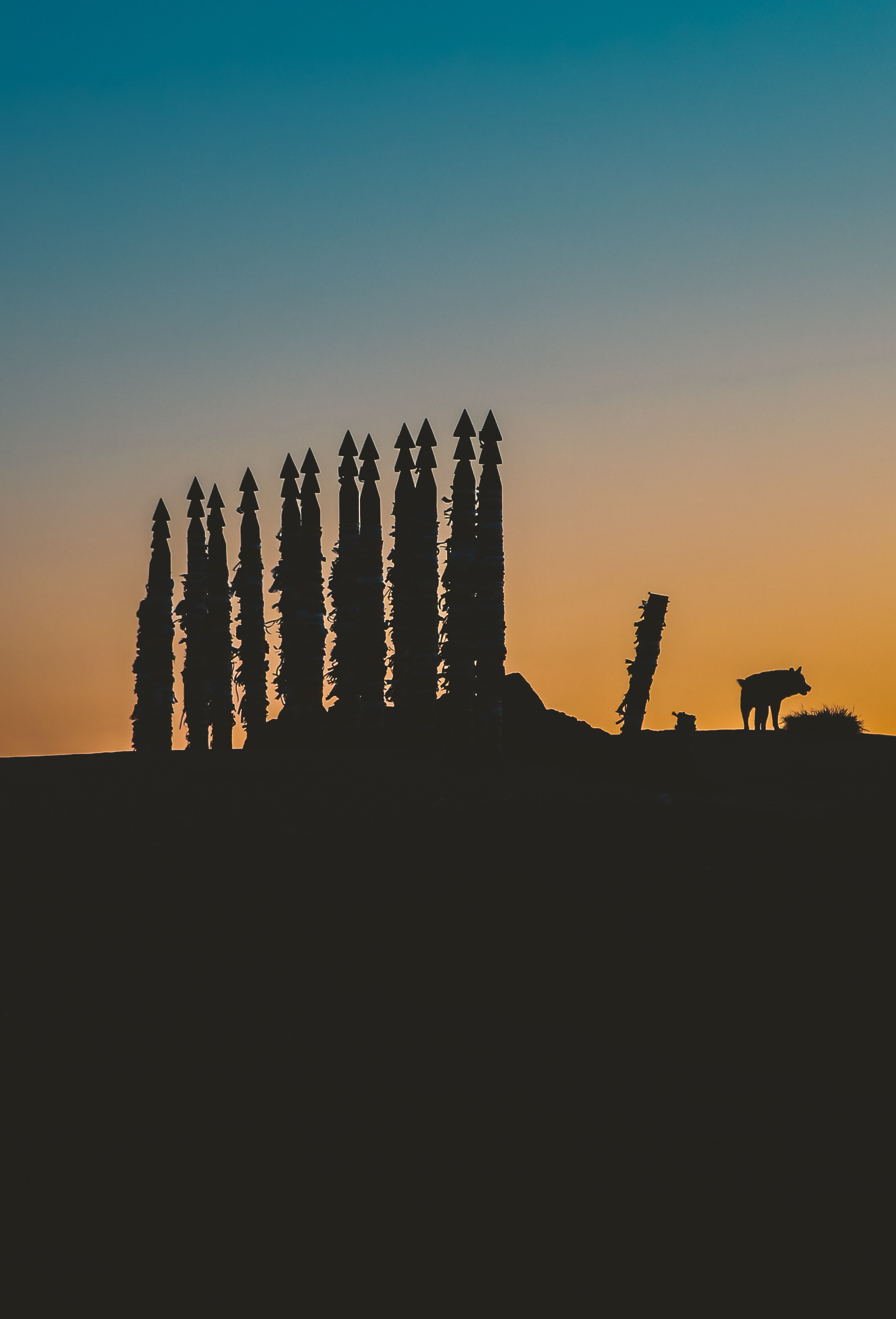 Байкал летний: легенды и святыни. Дарья Письменюк / Darya Leitstern — фотограф, музыкант, журналист, путешественник