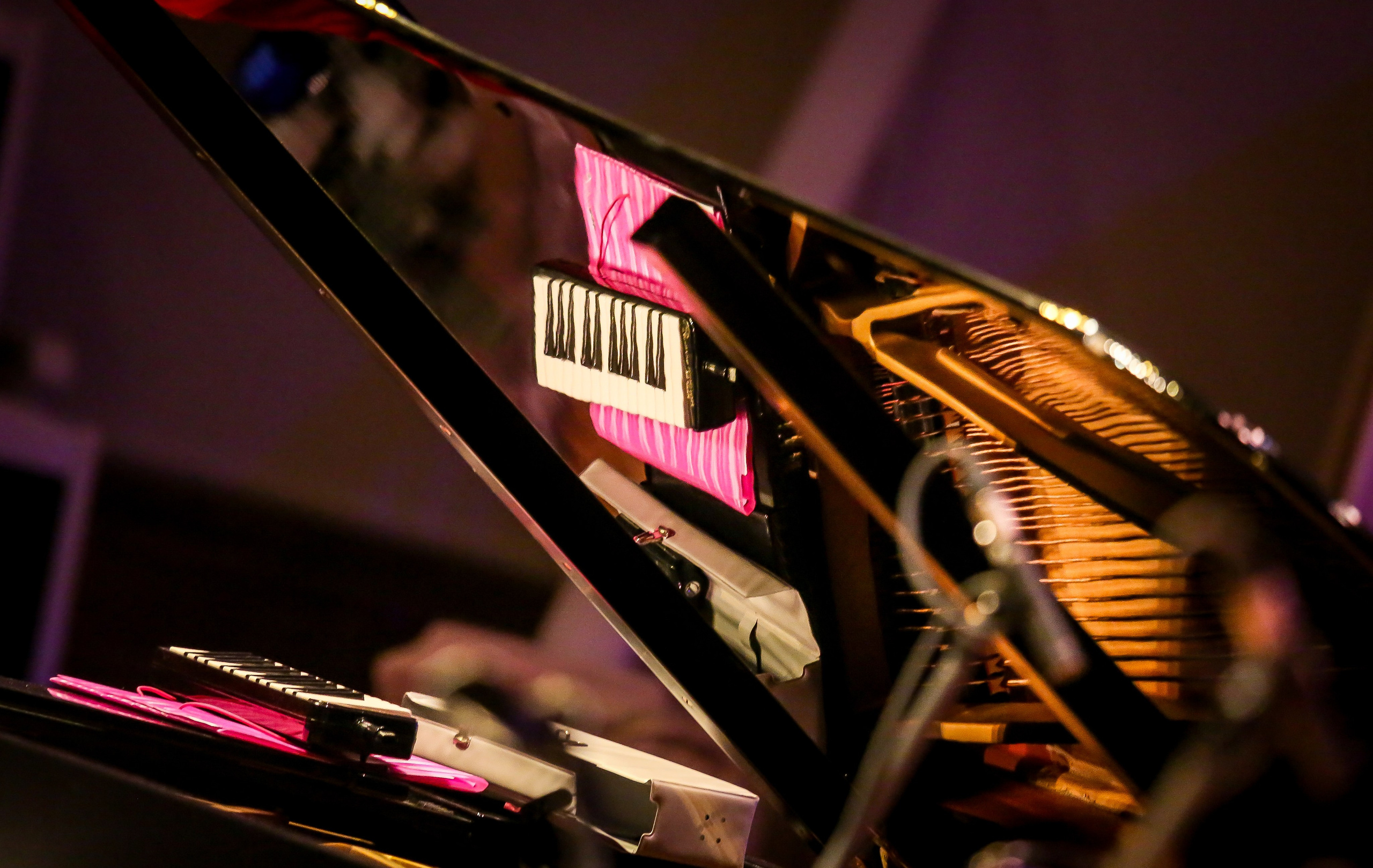 Концерт в Старый Новый год. Дарья Письменюк / Darya Leitstern — фотограф, музыкант, журналист, путешественник