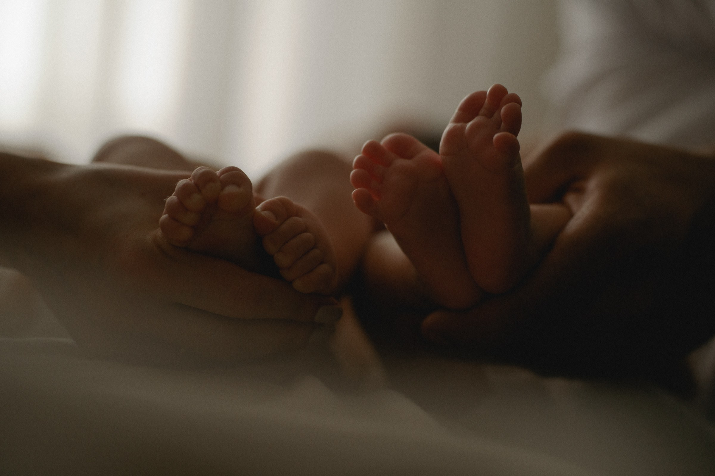 Там где кошки поют…. Свадебный и семейный фотограф в Абакане Василевский Алексей