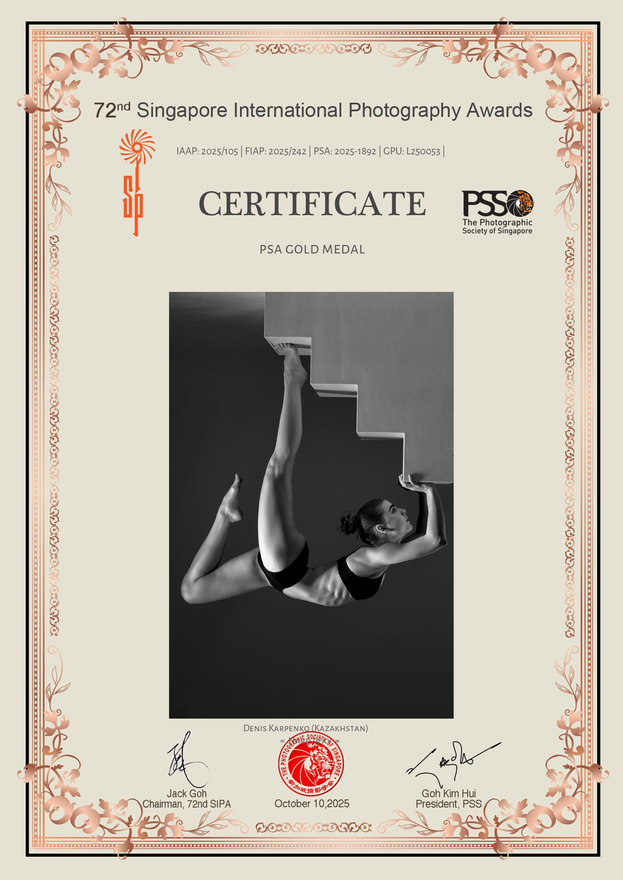 Достижения и дипломы. Сайт Алматинского НЮ АРТ, будуар и фэшн фотографа Дениса Карпенко