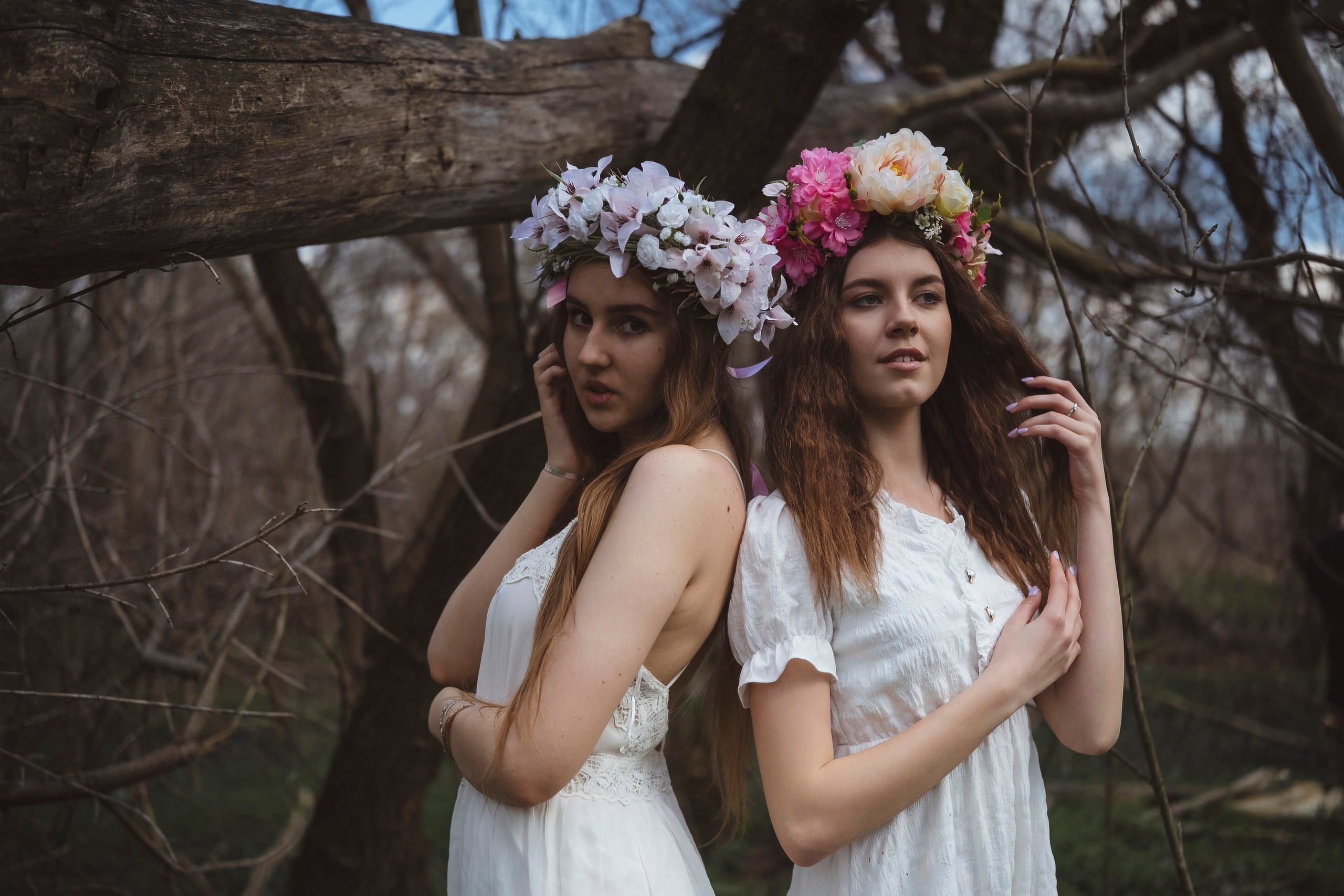 Зеленый остров. Главная