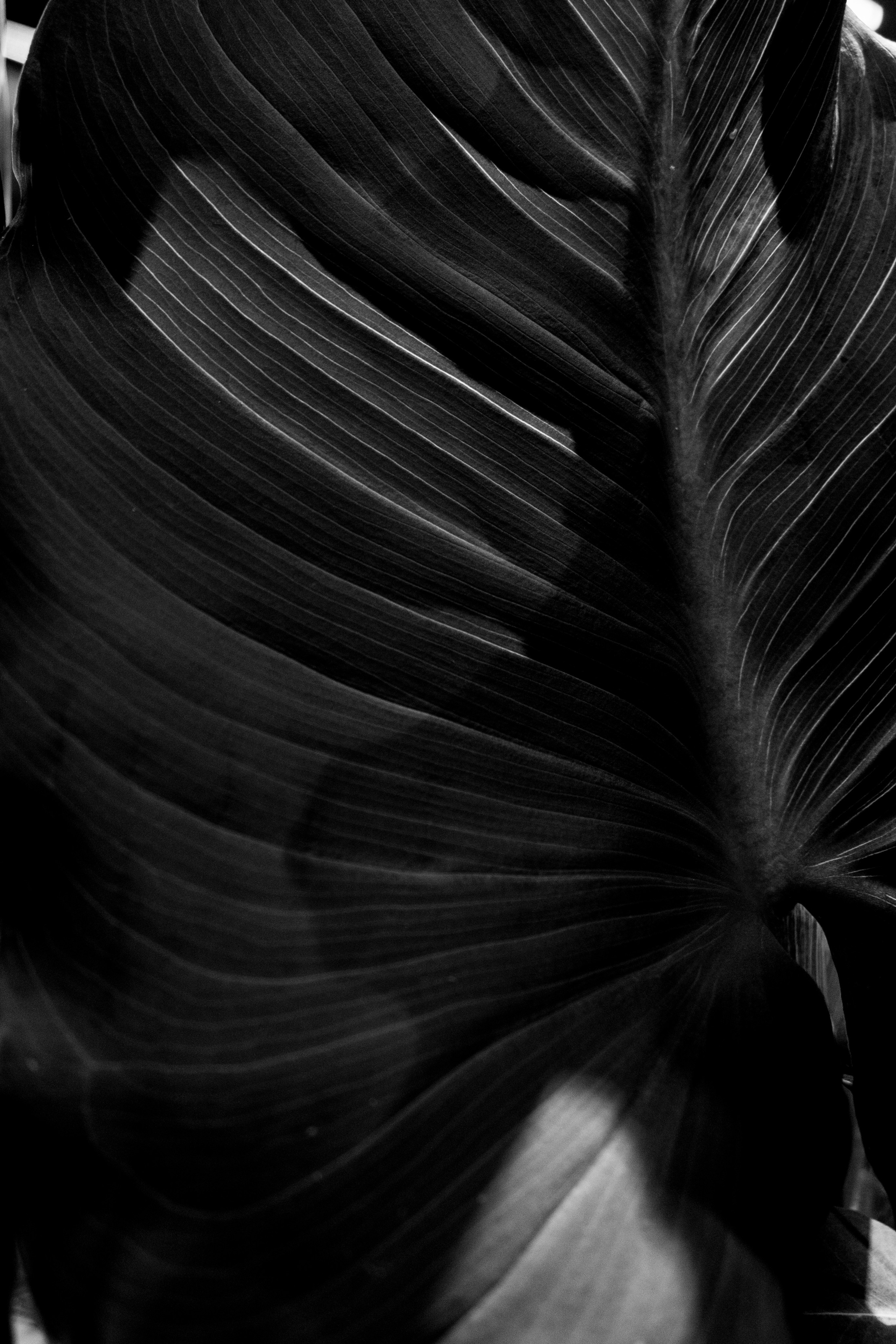 Контент-съемка. Портретный и fashion-фотограф в Санкт-Петербурге Олеся Поле