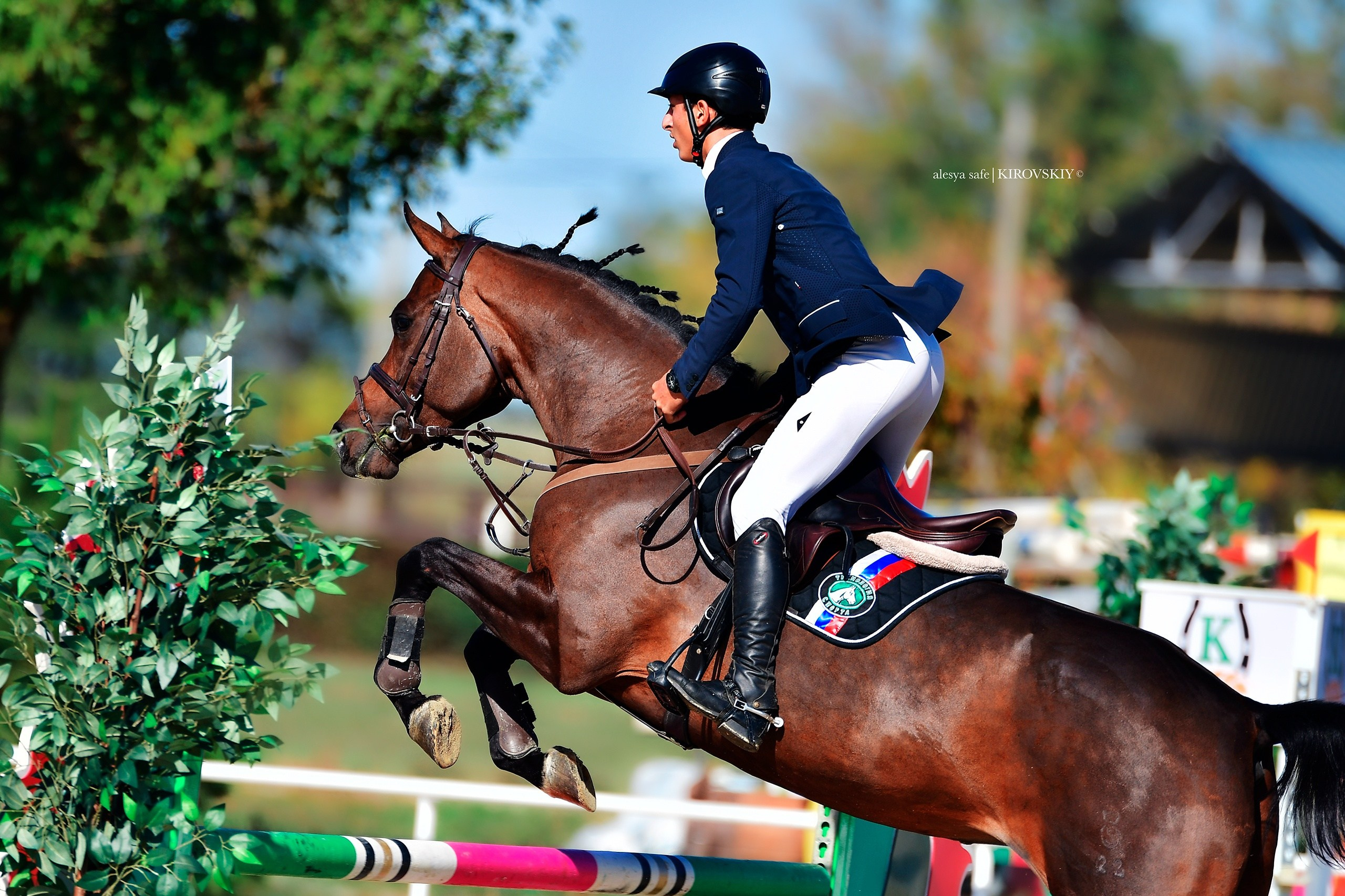 Кировский конный завод. Конный фотограф Alesya Safe