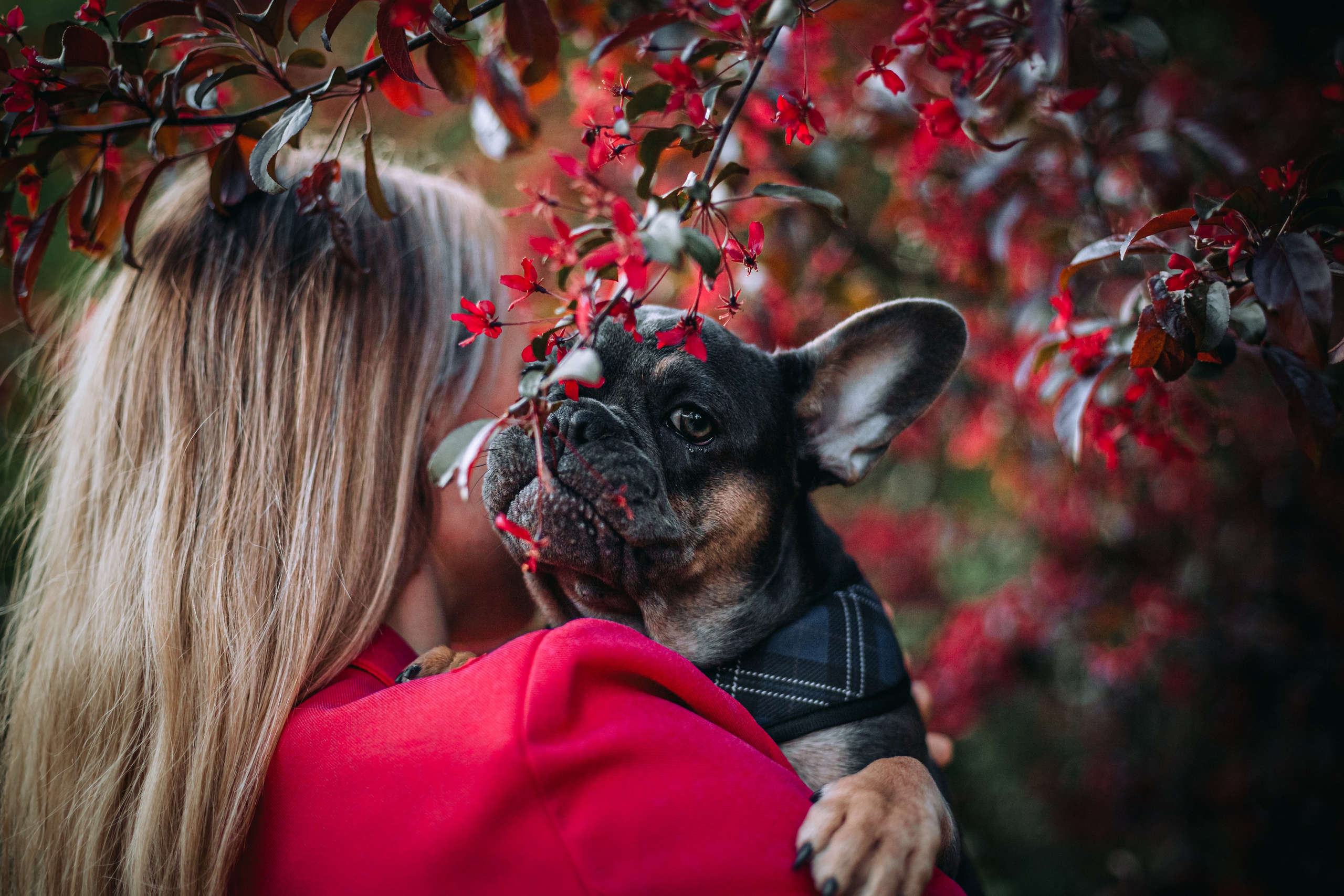 Даша и Мишель. Фотограф-анималист Татьяна Степанова