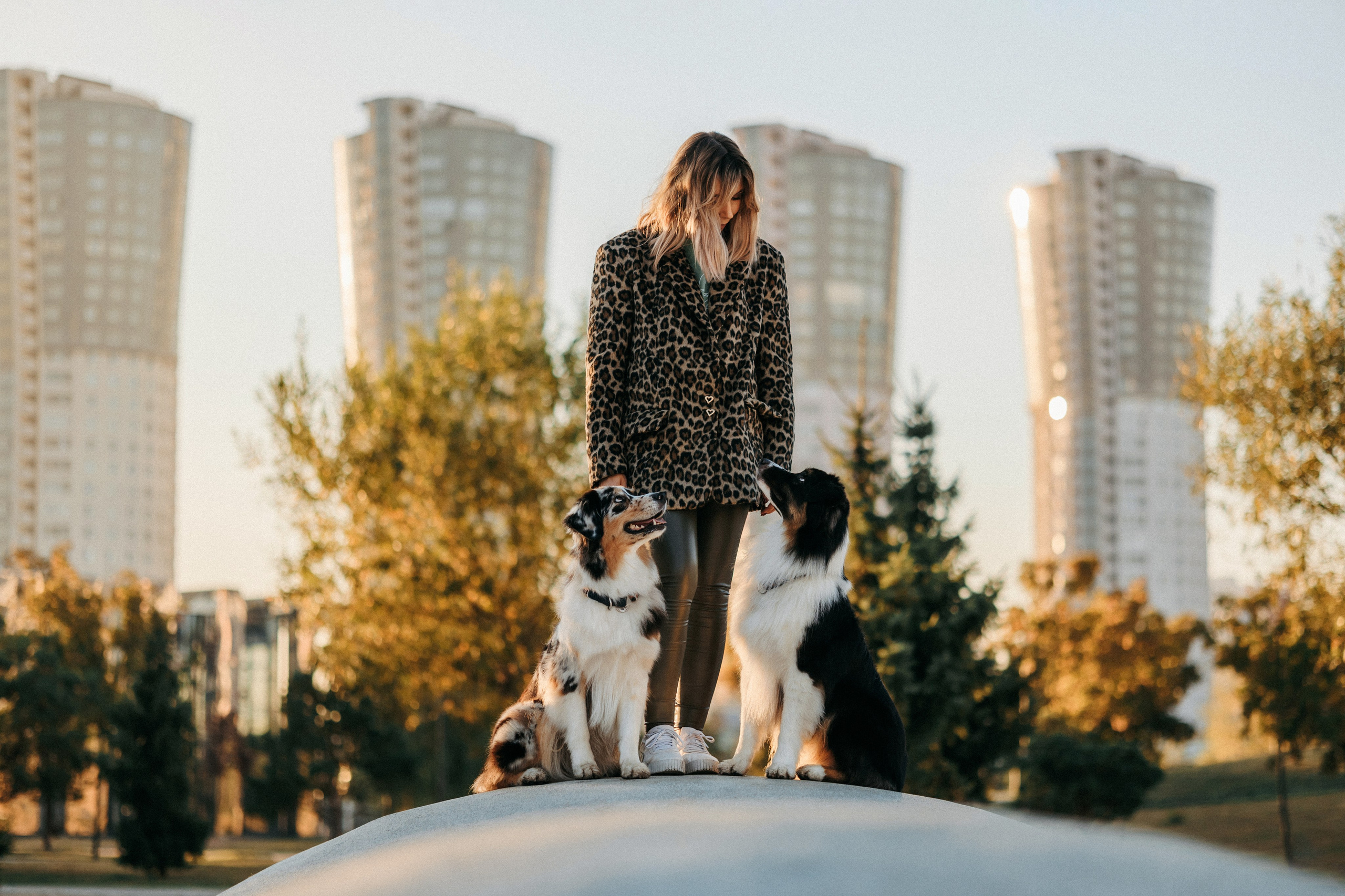 Аня, Чарли и Ева. Фотограф-анималист Елена Радченко, Москва