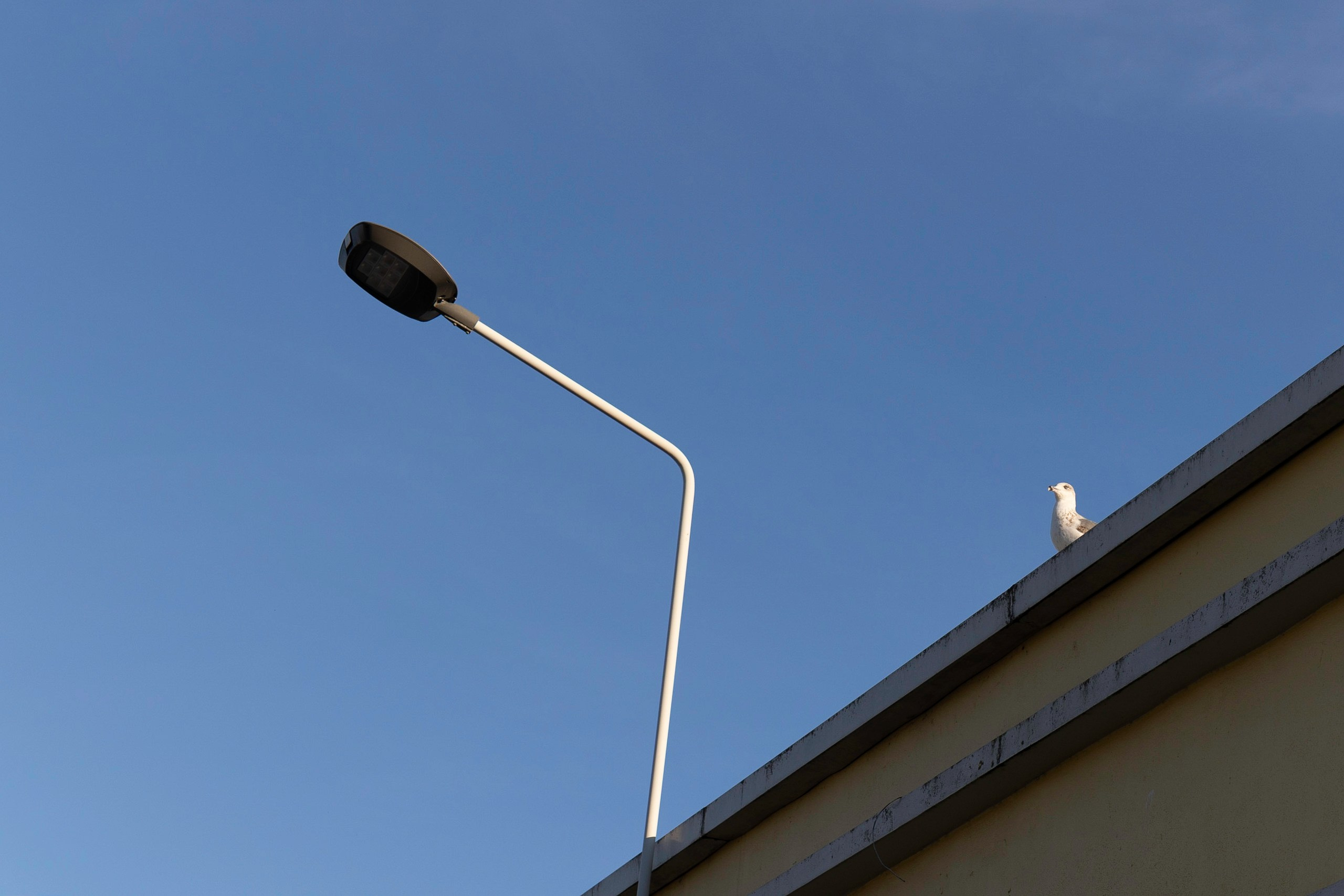 Art prints. Фотограф алина стерхова, алина стерхова фотограф, фотограф москва