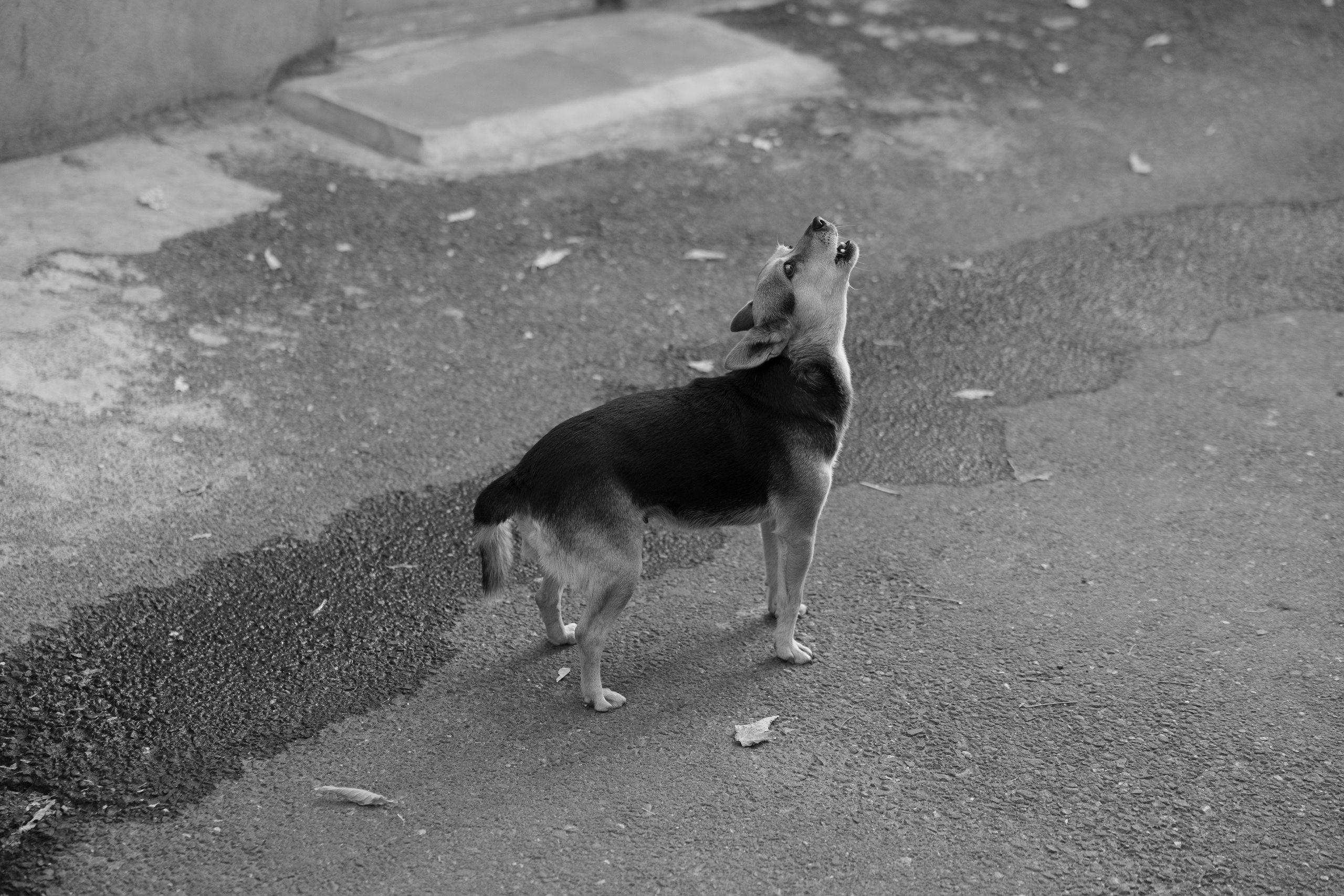 Art prints. Фотограф алина стерхова, алина стерхова фотограф, фотограф москва