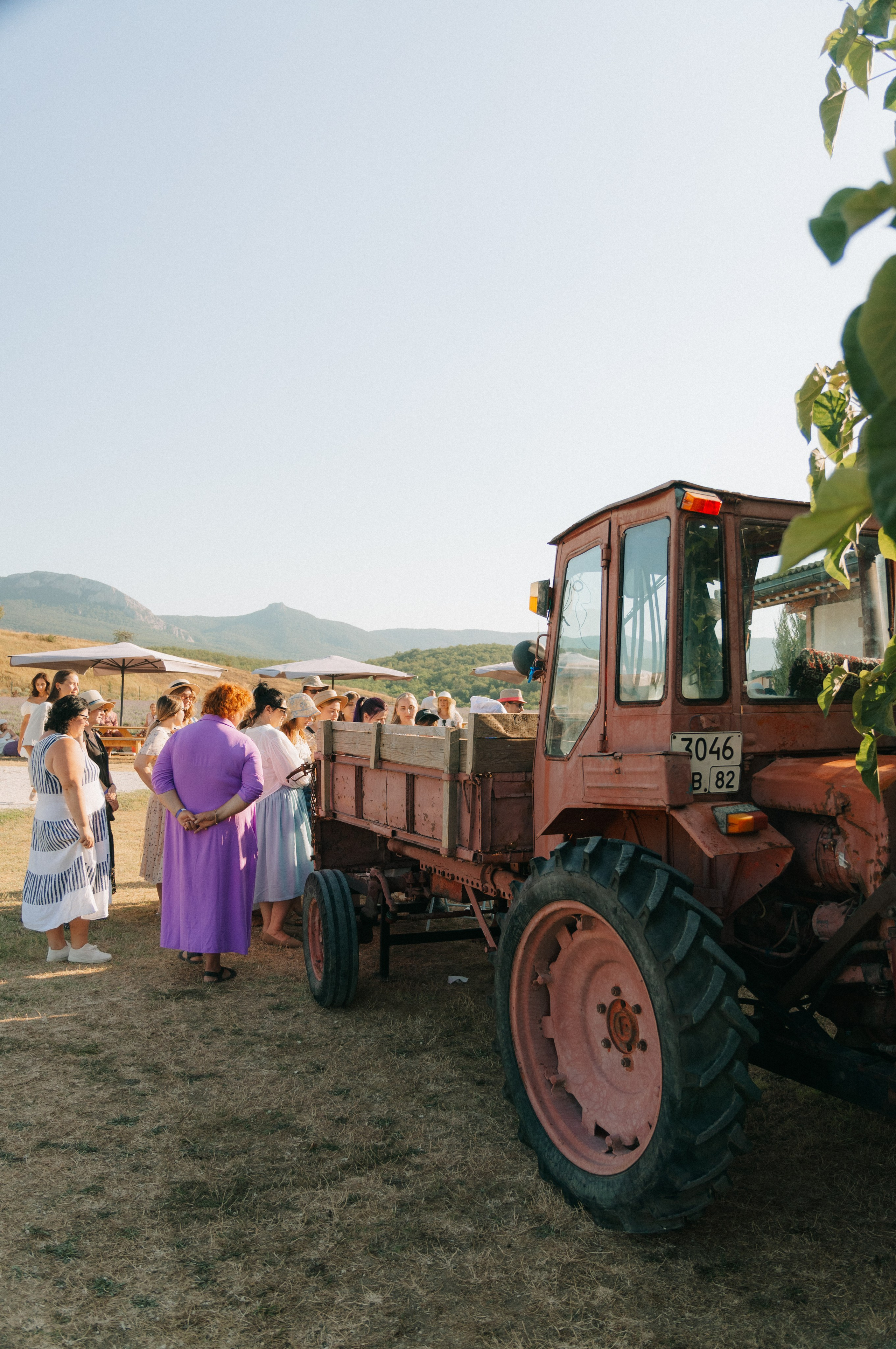 Сбор урожая | лавандовая ферма Viva Lavanda. Обо мне