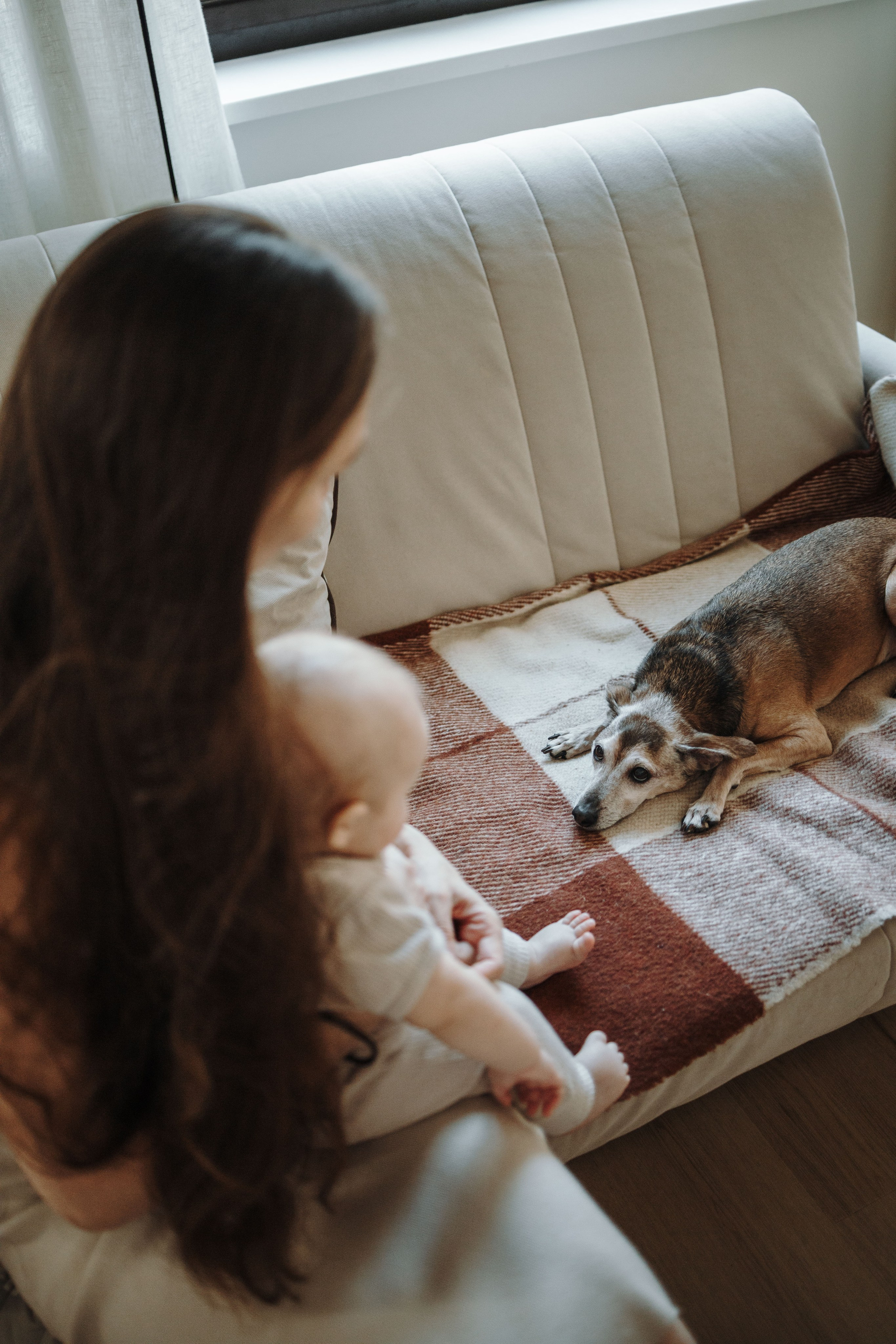 Николас и его семья