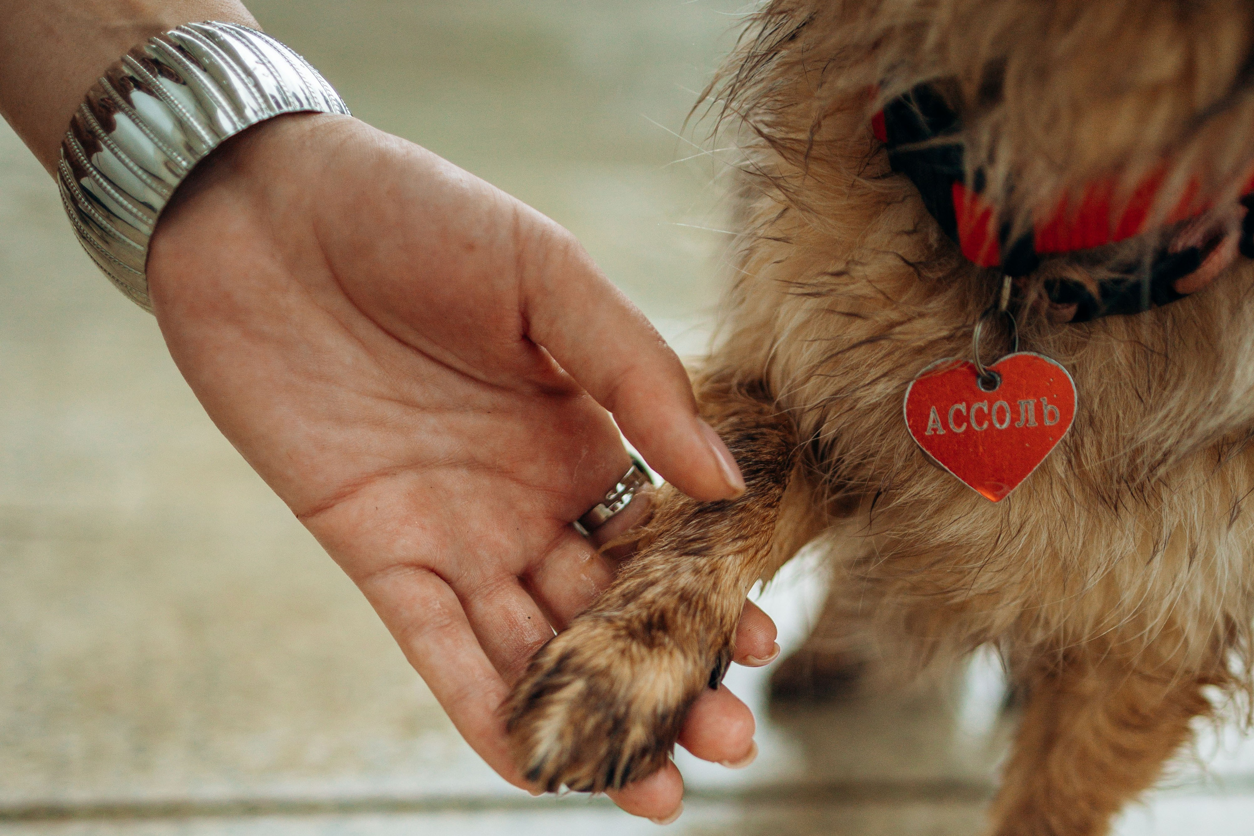 Дарья и Ассоль