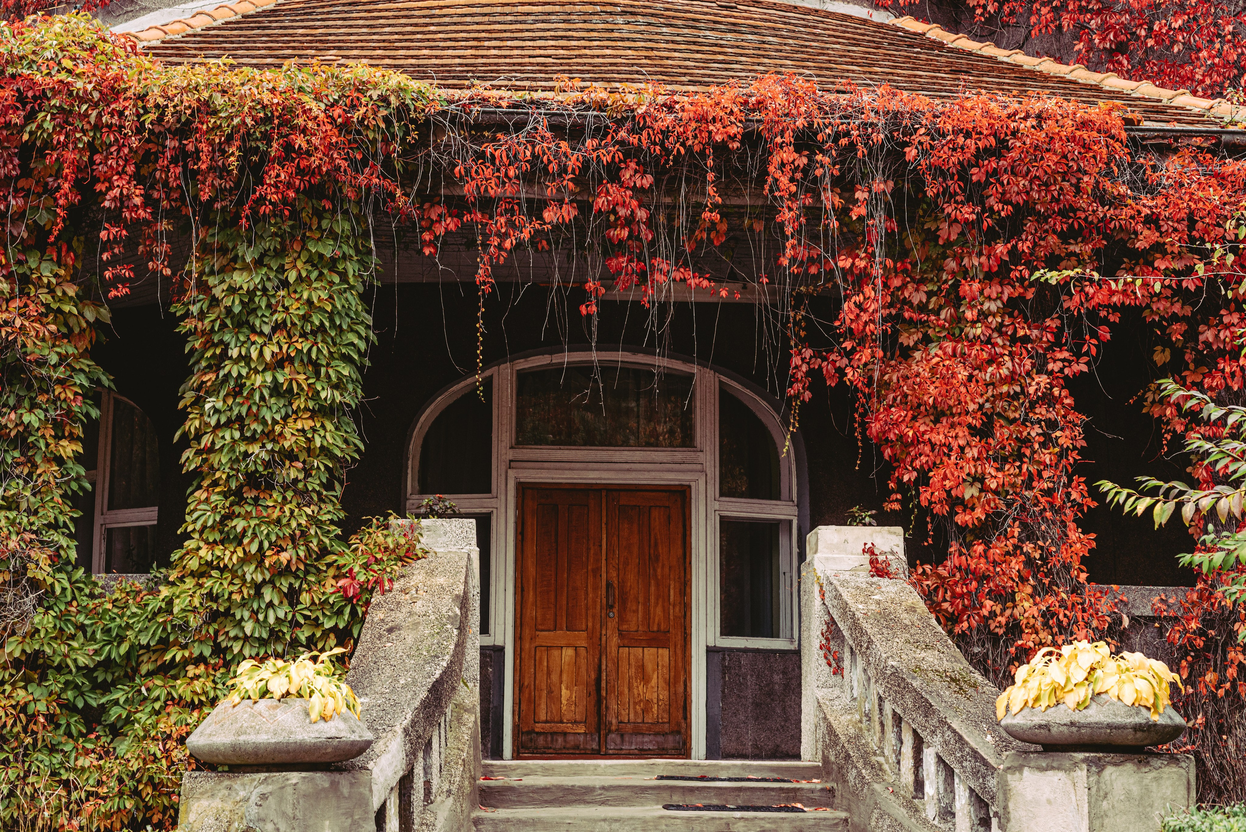 Калининград и его область: через объектив рекламного фотографа из Гуанчжо. Коммерческий и предметный фотограф в Гуанчжоу Коваленко Александр