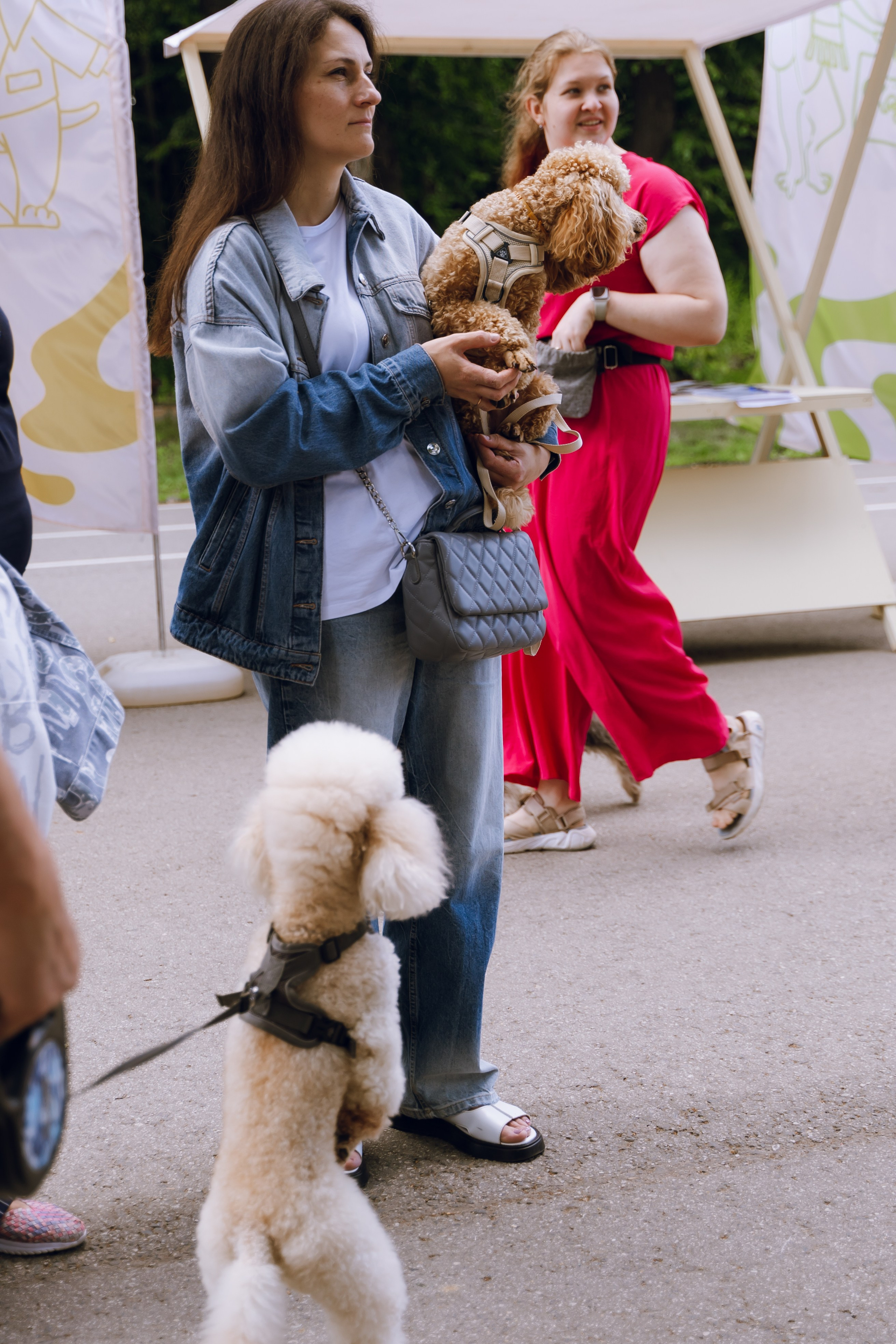 Площадка фестиваля «Мампус и его друзья» в Лесопарке 2025. Фотограф Надежда Погребняк | Рязань | Москва