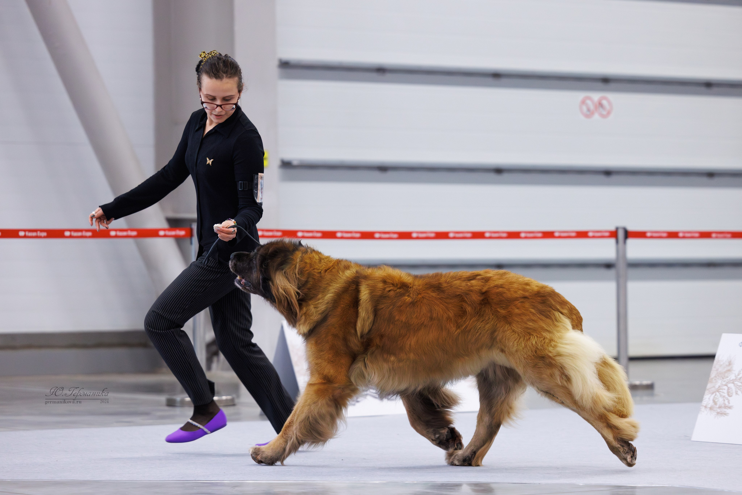 Казань Зилант 30-01.12 2024. Фотограф-анималист Юлия Германика