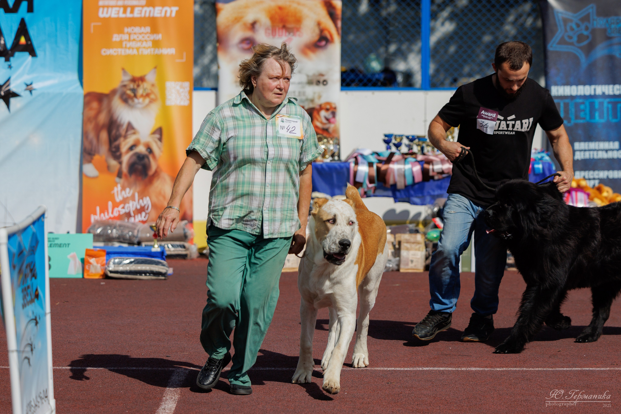 Коломна 30.08.2025. Фотограф-анималист Юлия Германика